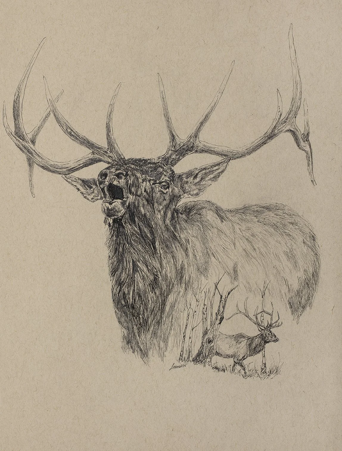 "Lone Bull"