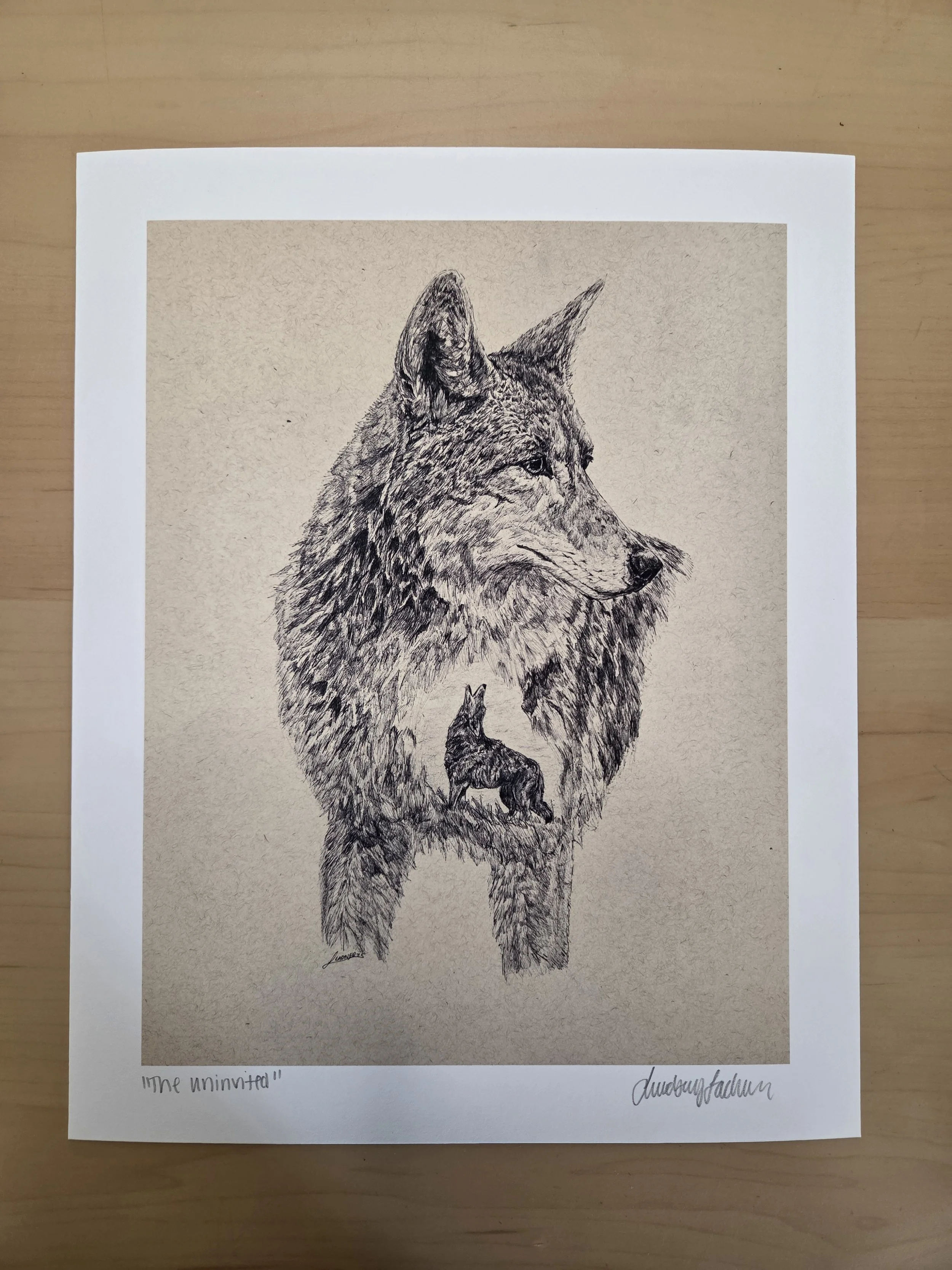 "The Uninvited" Coyote Glicee