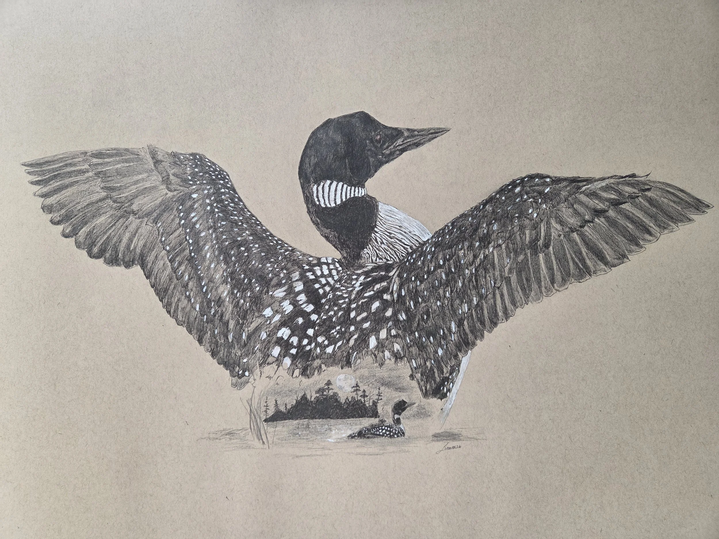 "Night Song" Common Loon