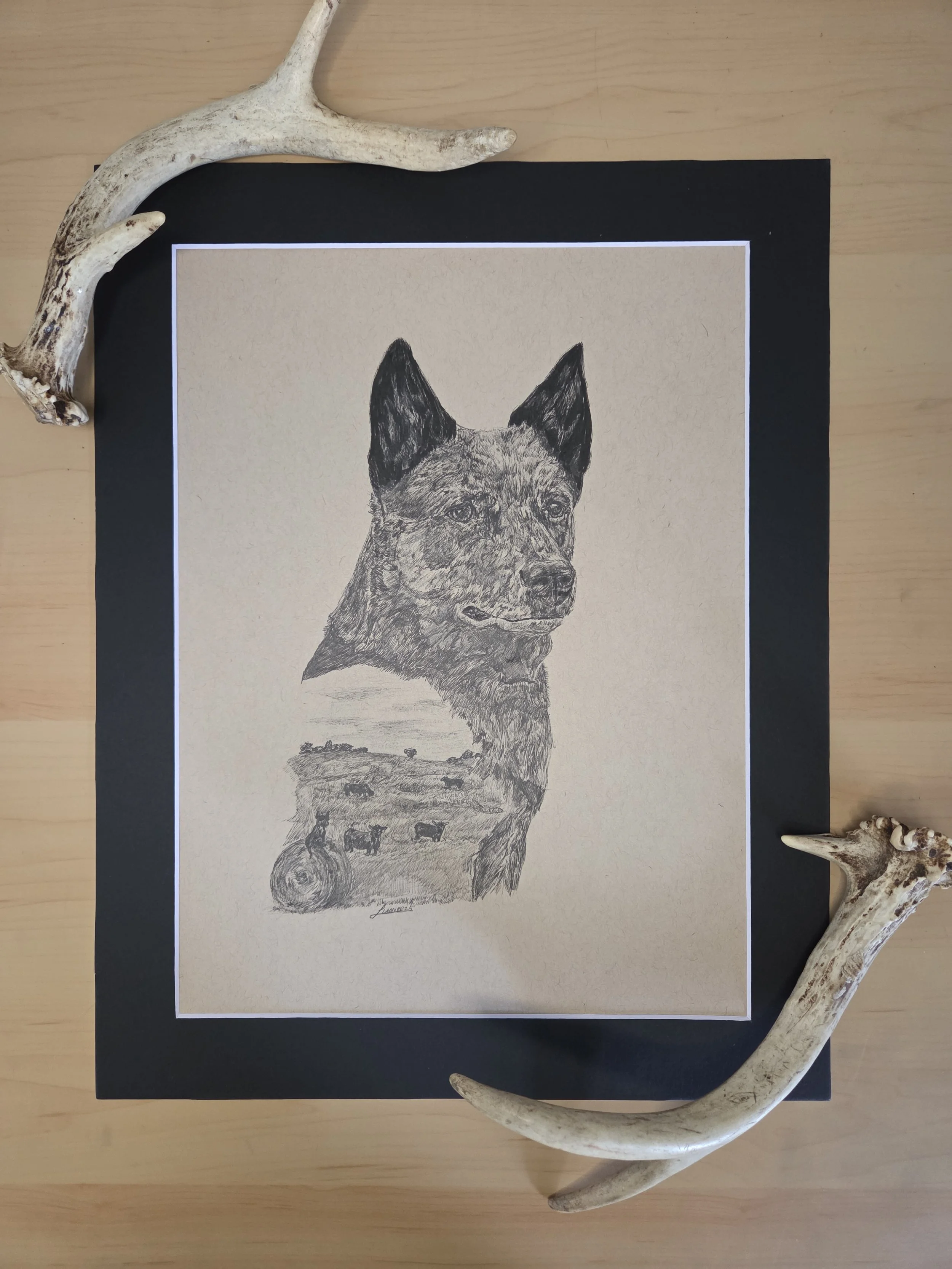 "Ranch Hand" Original Heeler Drawing