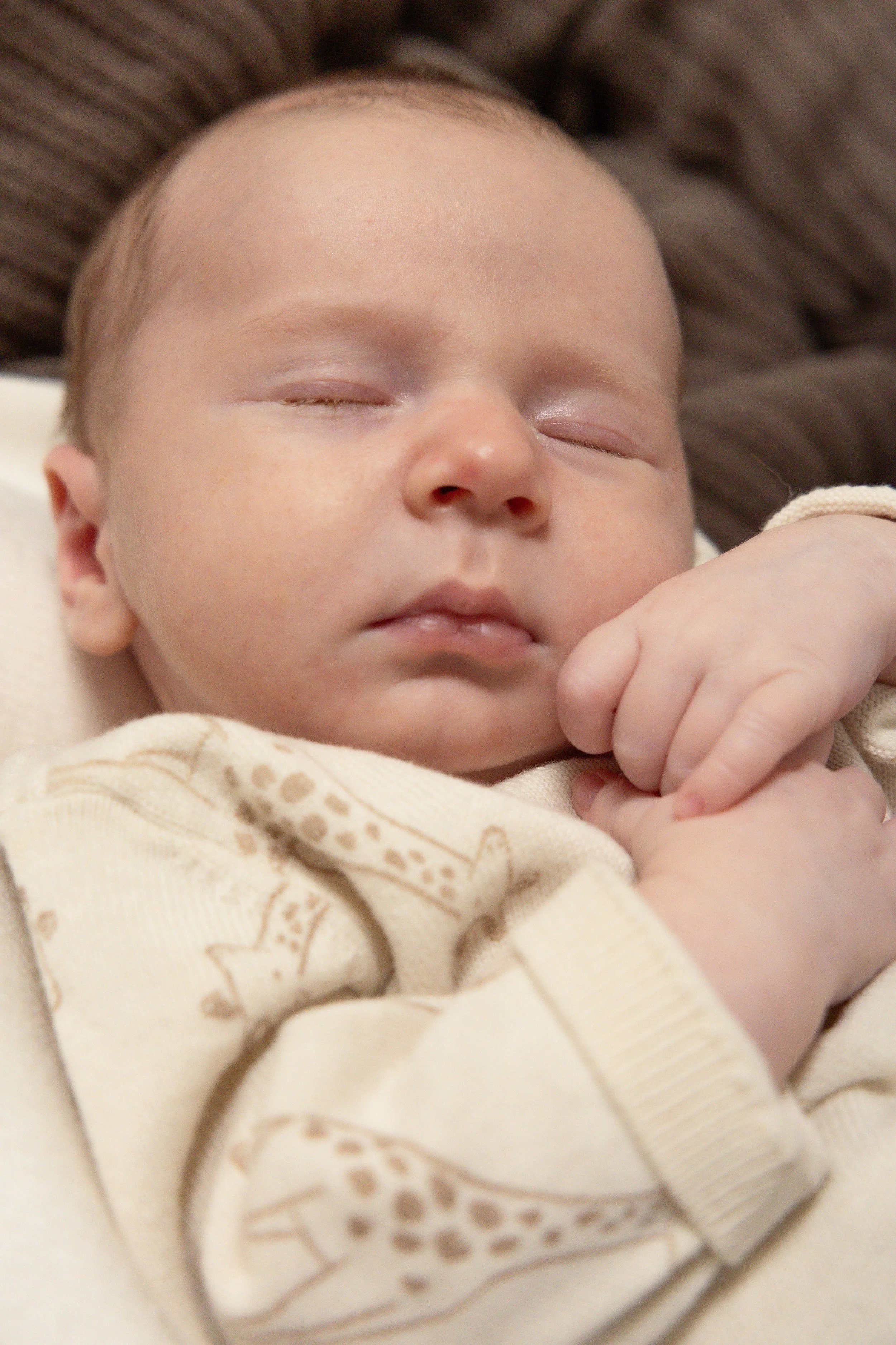 BabyWeber-86.jpg