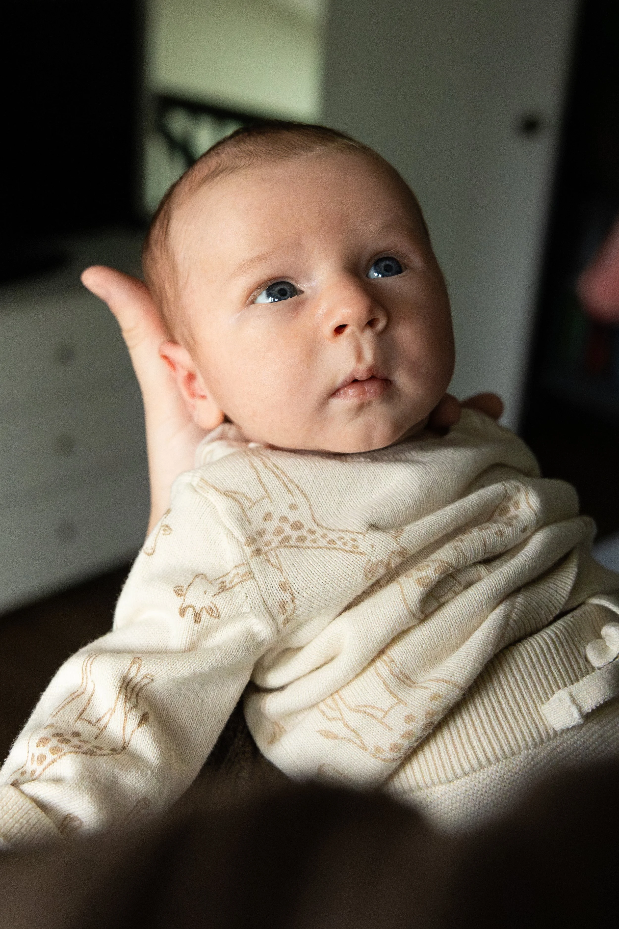 BabyWeber-46.jpg