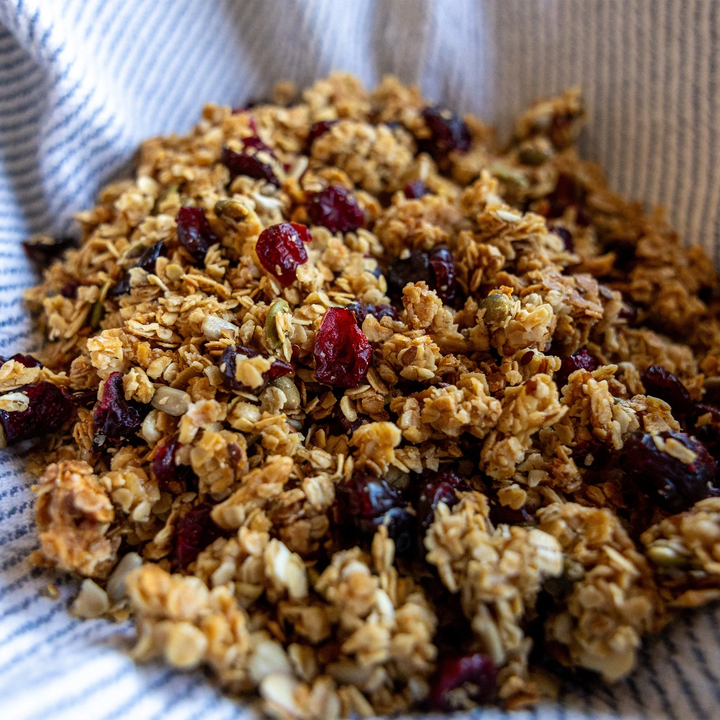 BakeSale_CranberryGranola_3.jpg