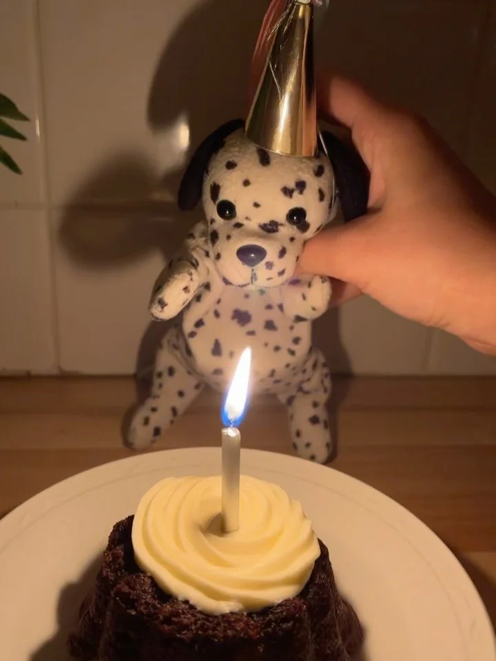 Spot&rsquo;s Birthday is today!! (and Sara) 

He is so beyond thankful for all the love and support he&rsquo;s gotten this year! Thank you for watching this little dalmatian dance, you&rsquo;ve changed this girl and her favorite dalmatian&rsquo;s lif