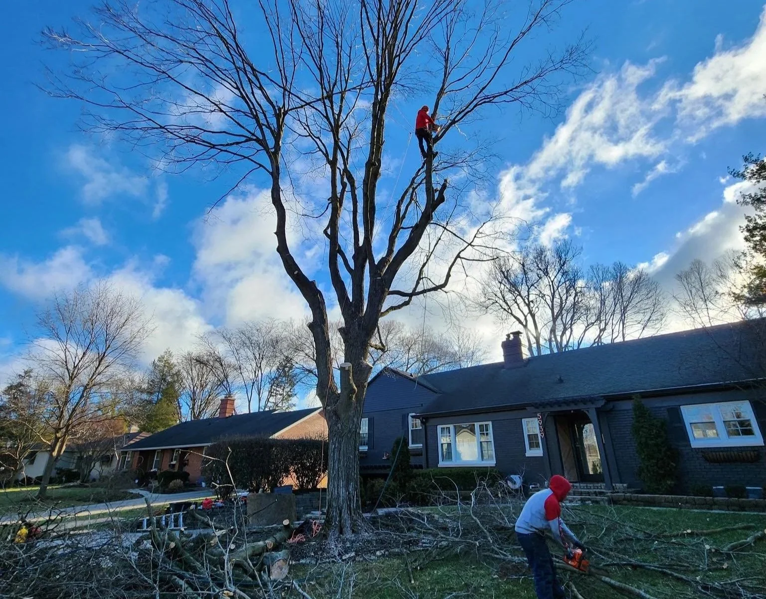 Oranssi carpenter using bench saw