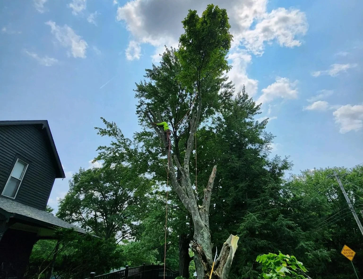 Oranssi previous project