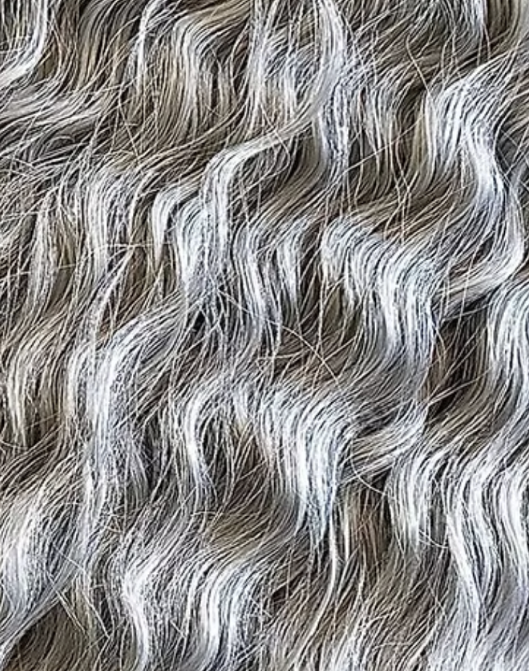 Screenshot 2026-03-22 at 4.06.44 PM.png