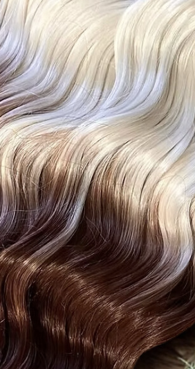 s'mores fox ocean wave close up top.png