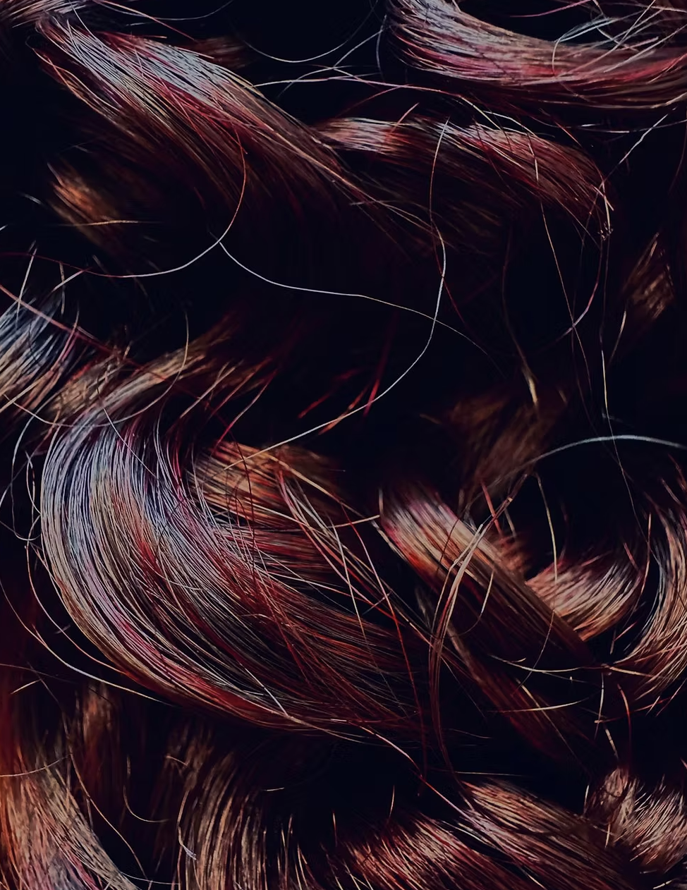 Screenshot 2025-12-15 at 8.00.57 PM.png