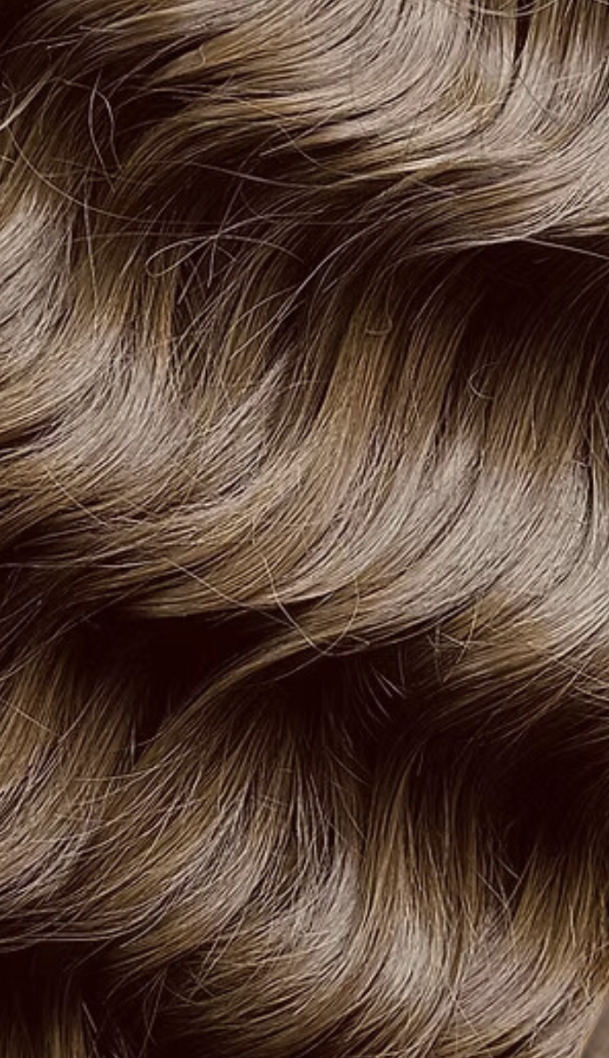 Screenshot 2025-12-15 at 9.14.43 PM.png