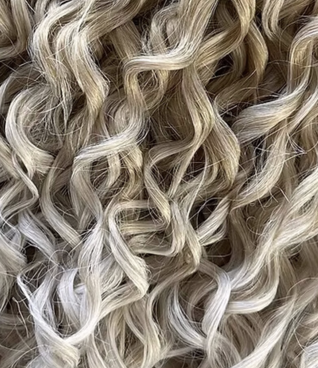 Screenshot 2025-12-15 at 8.06.31 PM.png