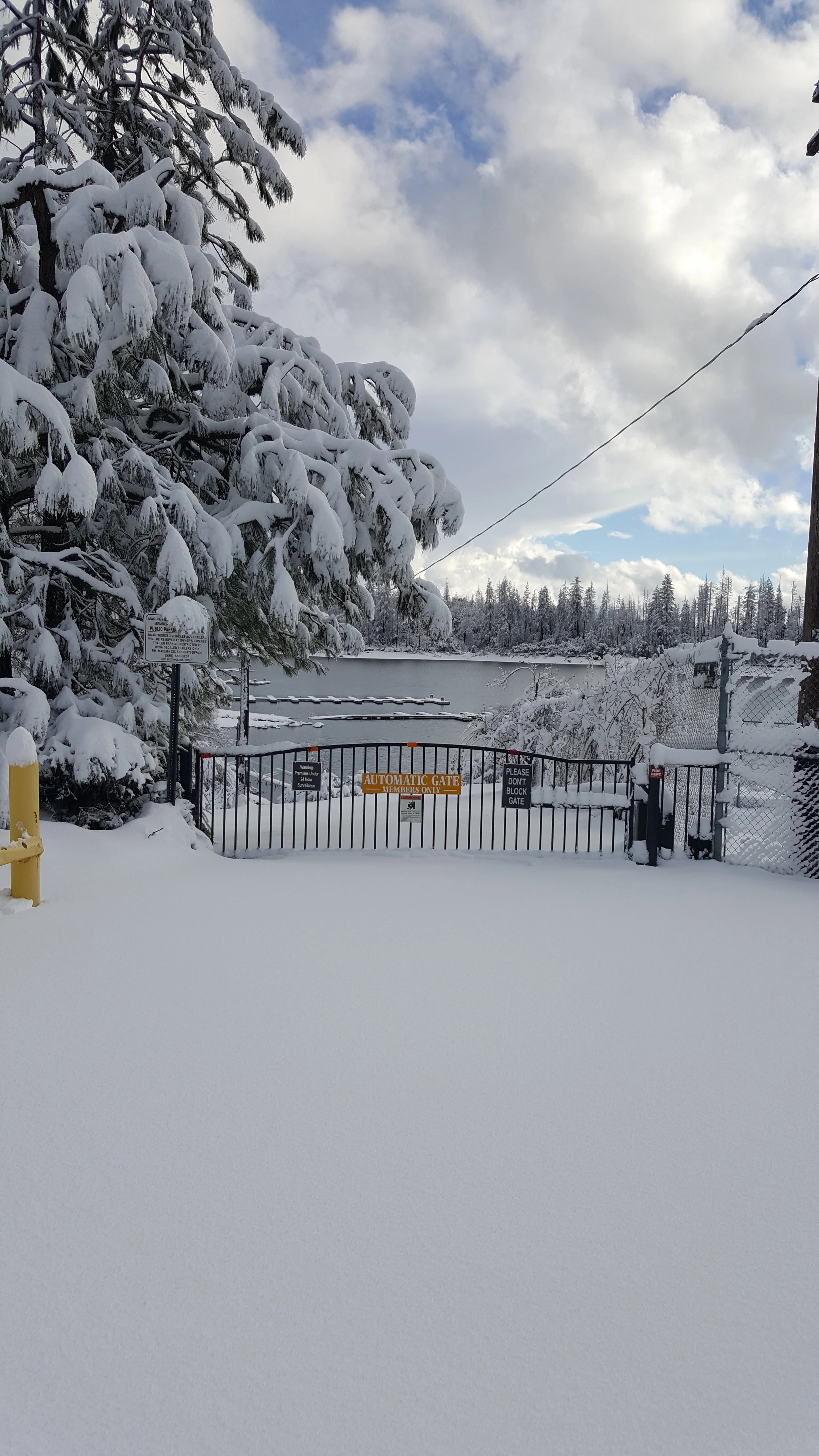 Gate Cards - Replacement