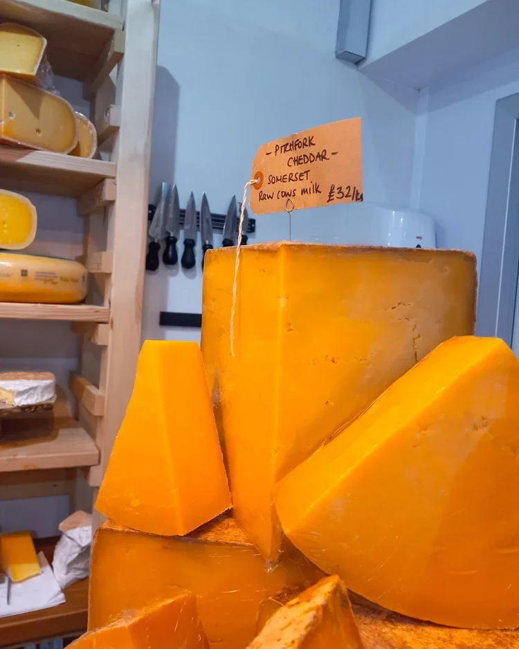 Cheese School: Cheddar!