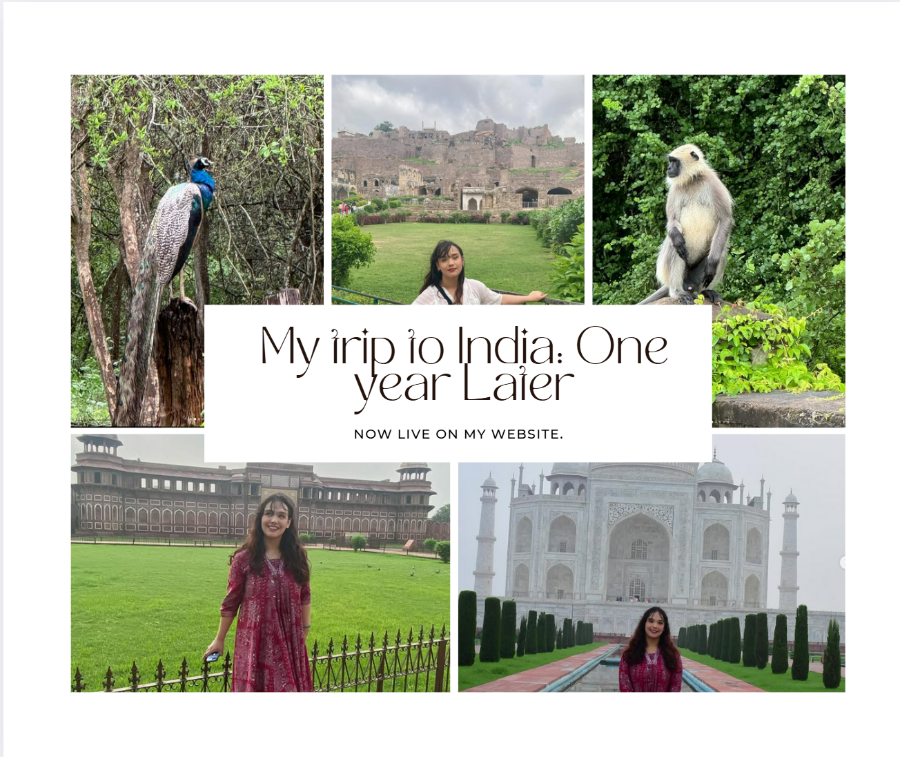 Author collage for india