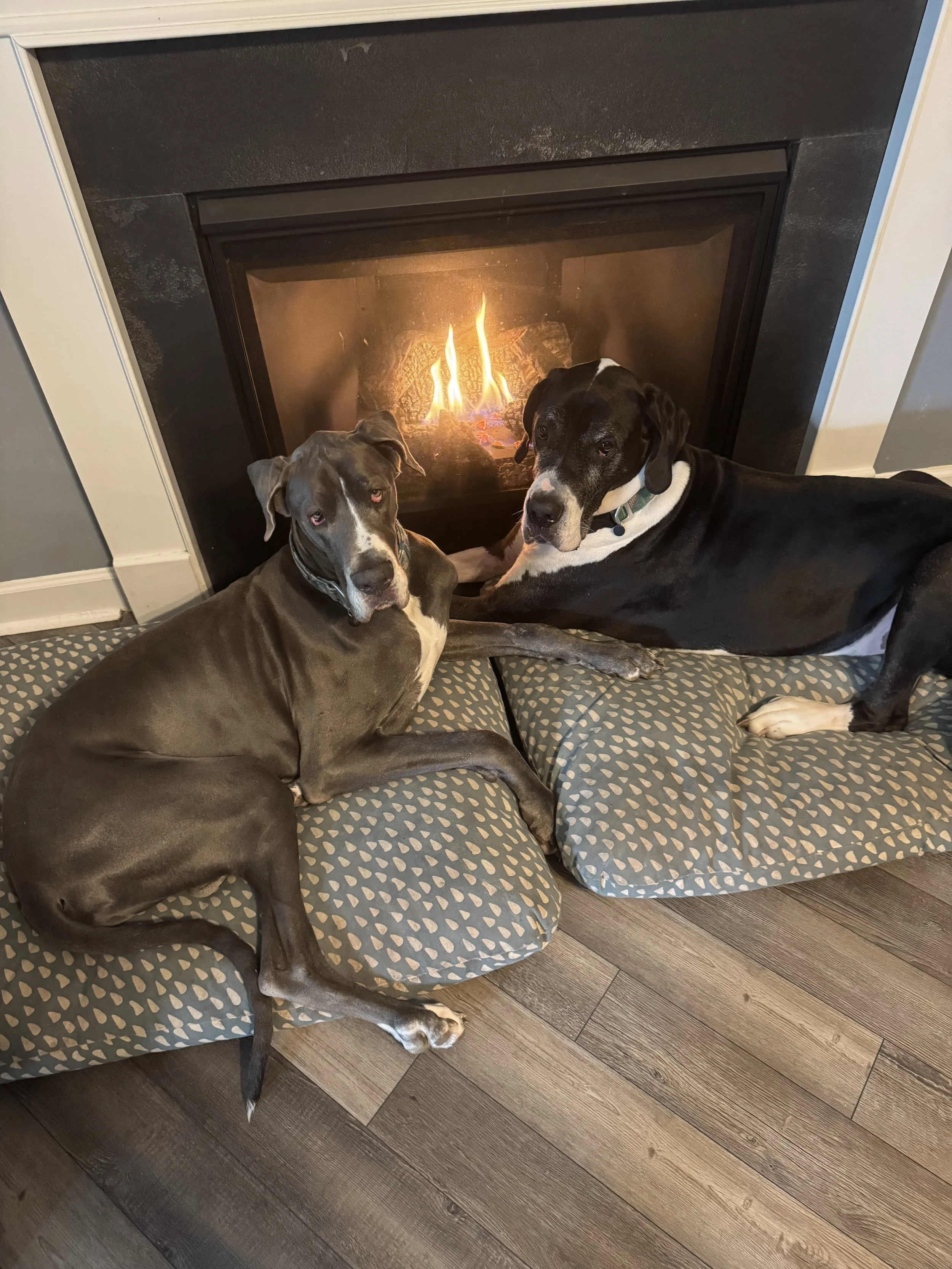 January at Skip Sketch Studio: Happy New Year✨