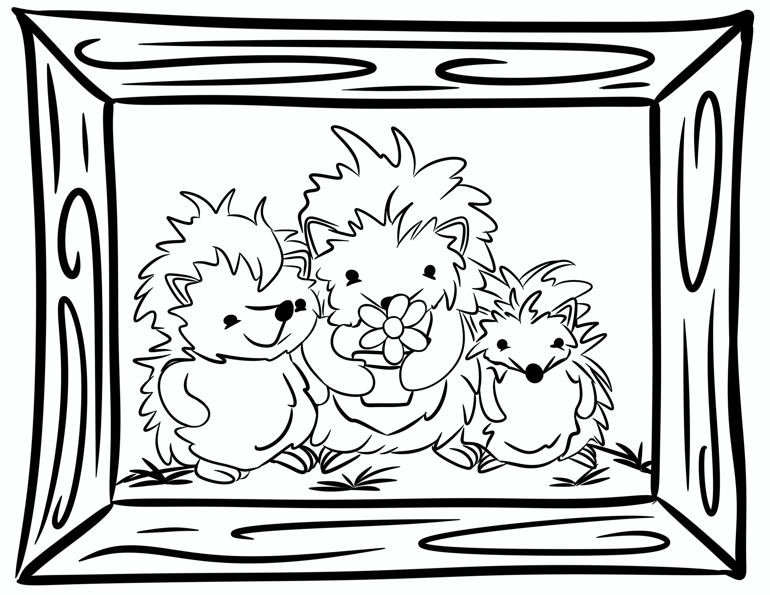 Three hedgehogs framed in a photo with flowers outlined to color.