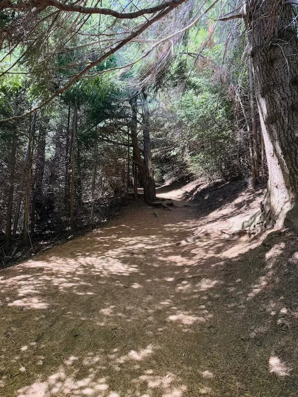 Warum sind manchmal alle gleichzeitig schlecht drauf und was hat das mit der kosmischen Energie zu tun?