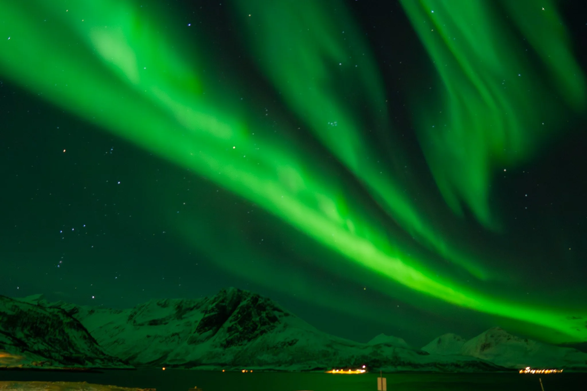 chasing.northernlights.exursion.jpg