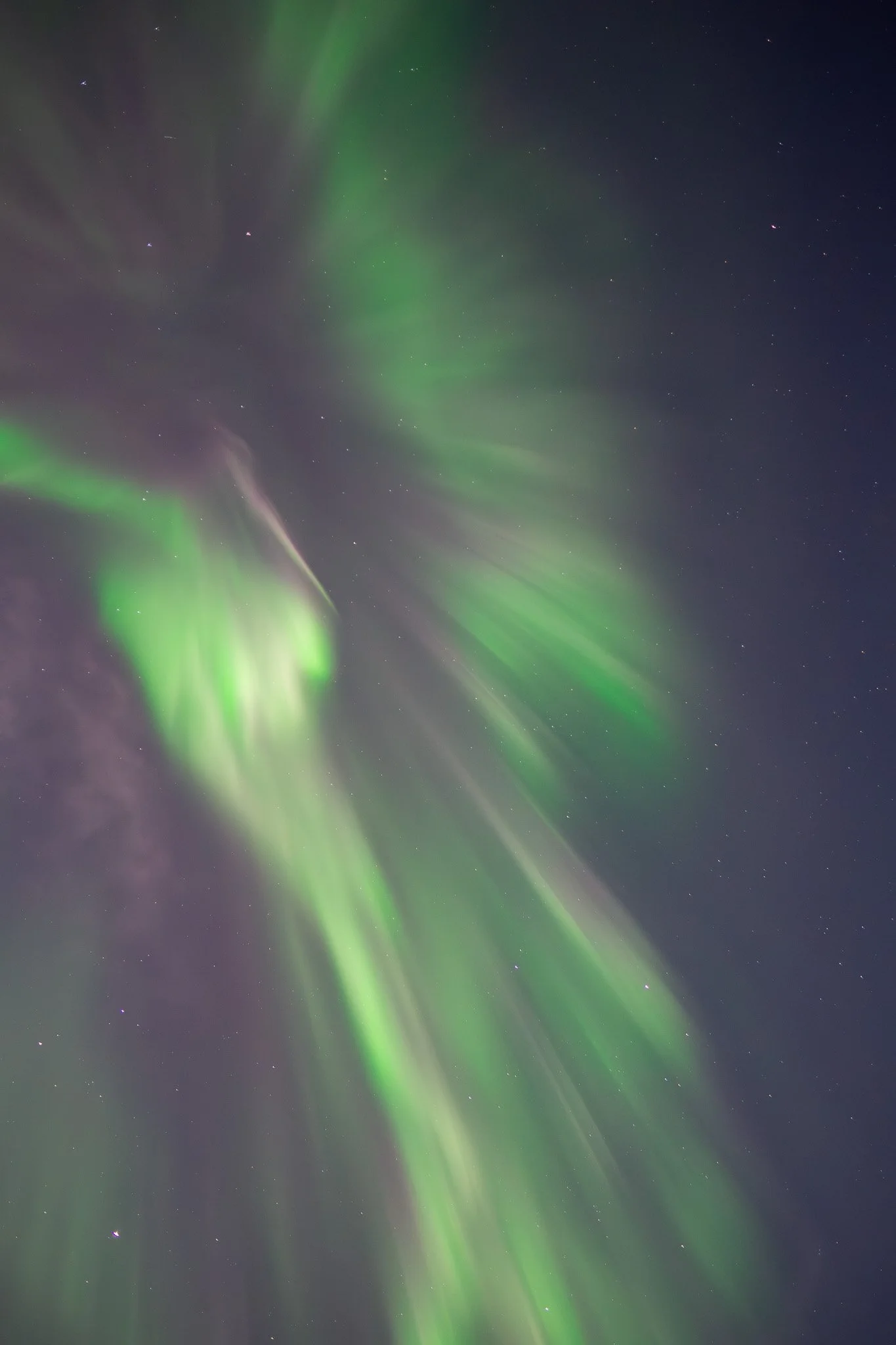 tromsø.norway.northernlights.jpg