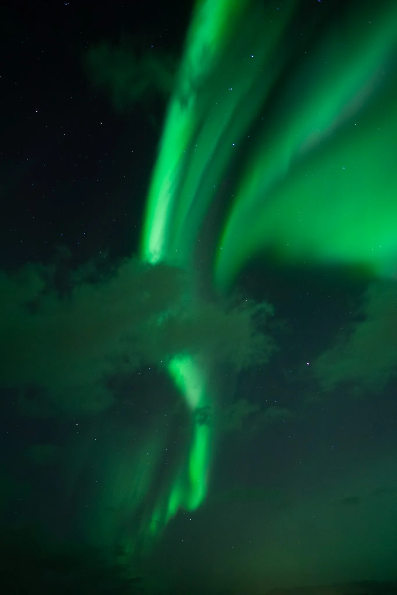 best-northernlights-tour-tromso.jpg.jpg
