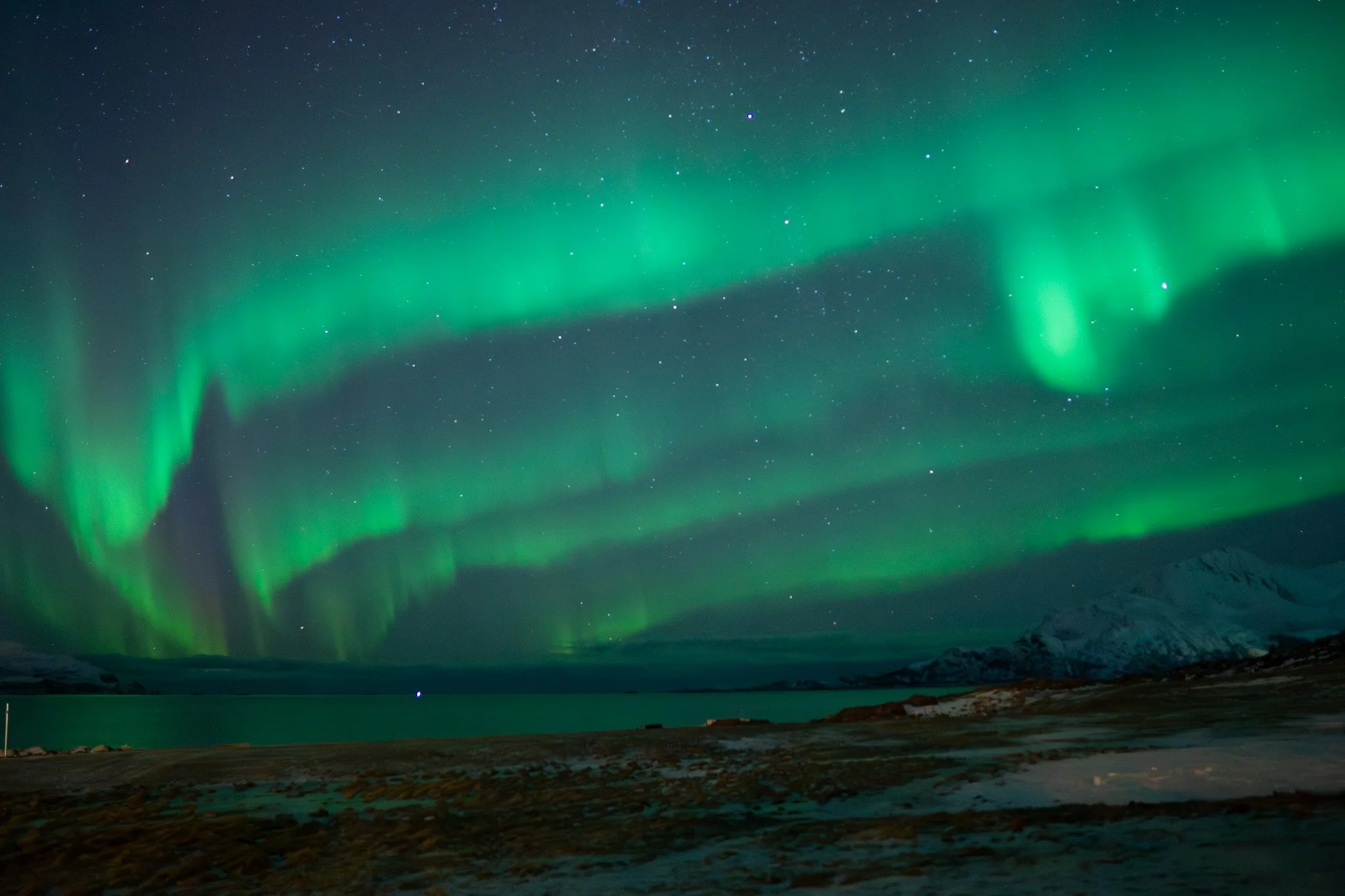 sea-northernlights-aurora-dancing.jpg.jpg