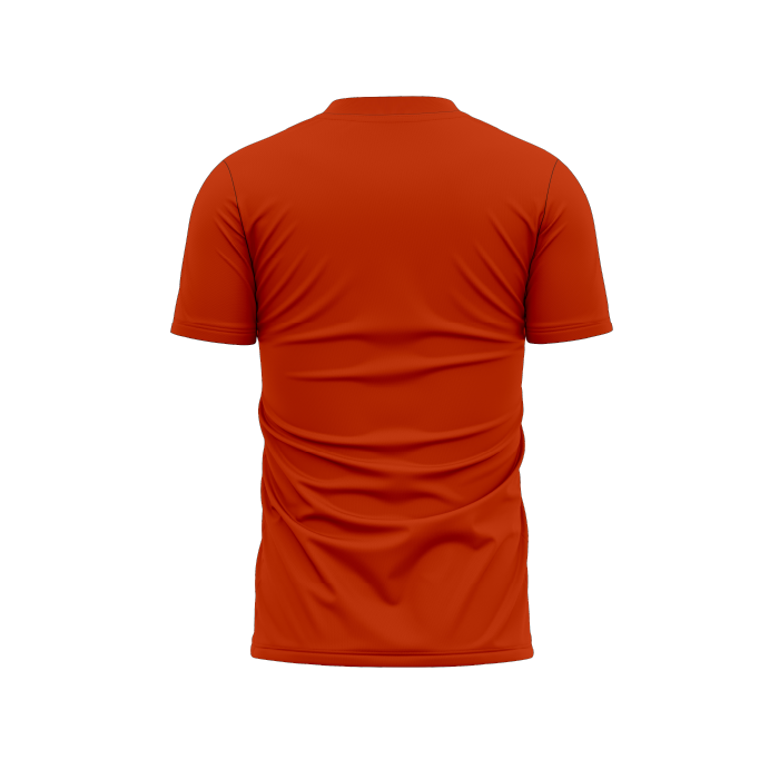 shirt orange BACK.png (Copy)