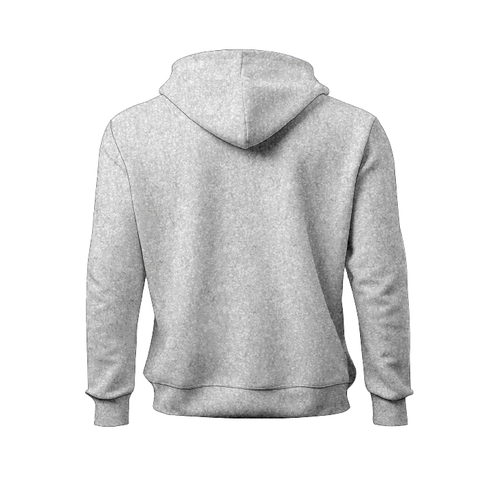 Hoodie light heather grey BACK.png