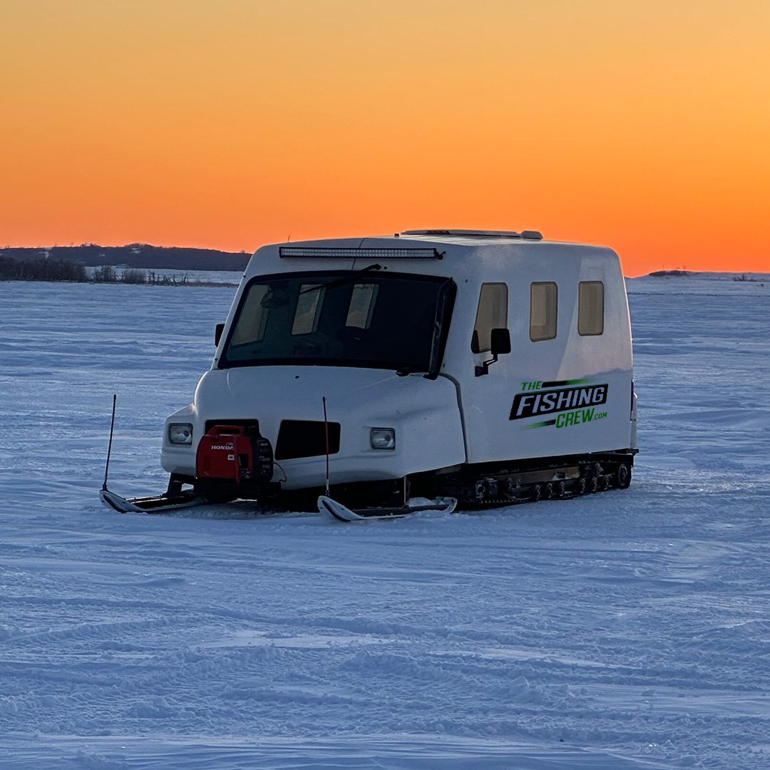 Color and vibrance 1.jpg (Copy)