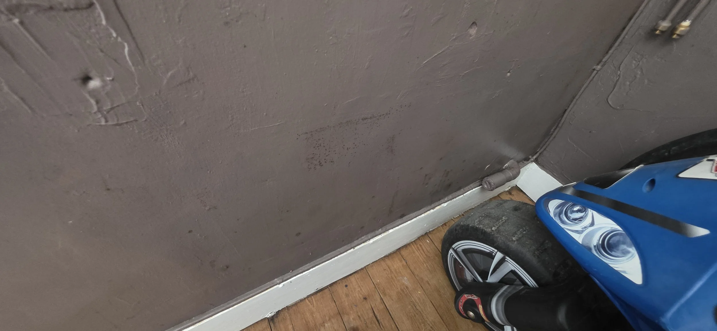 Moisissures dans une pièce : d’où vient l’humidité et comment s’en débarrasser ?