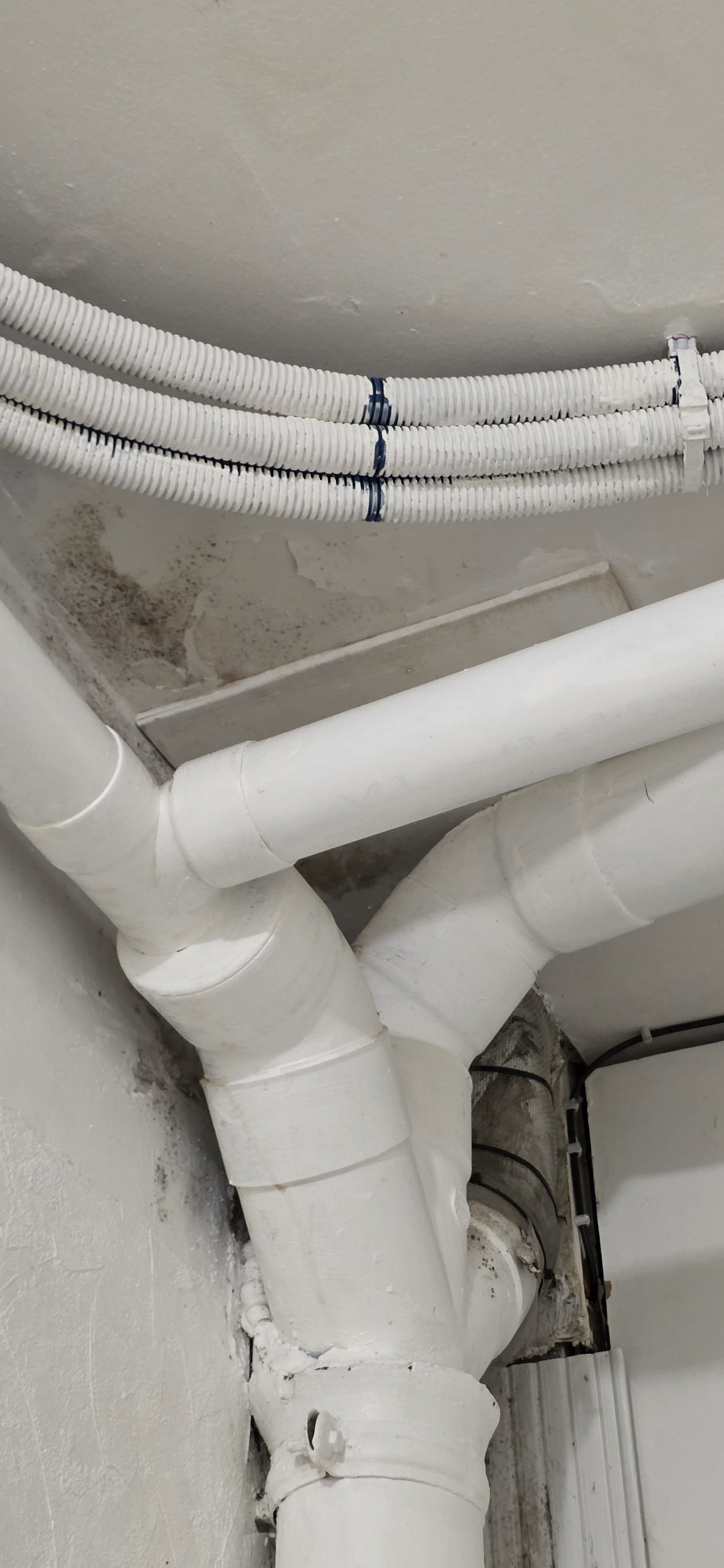 Devis de travaux trop vague : comment le faire vérifier avant de signer ?