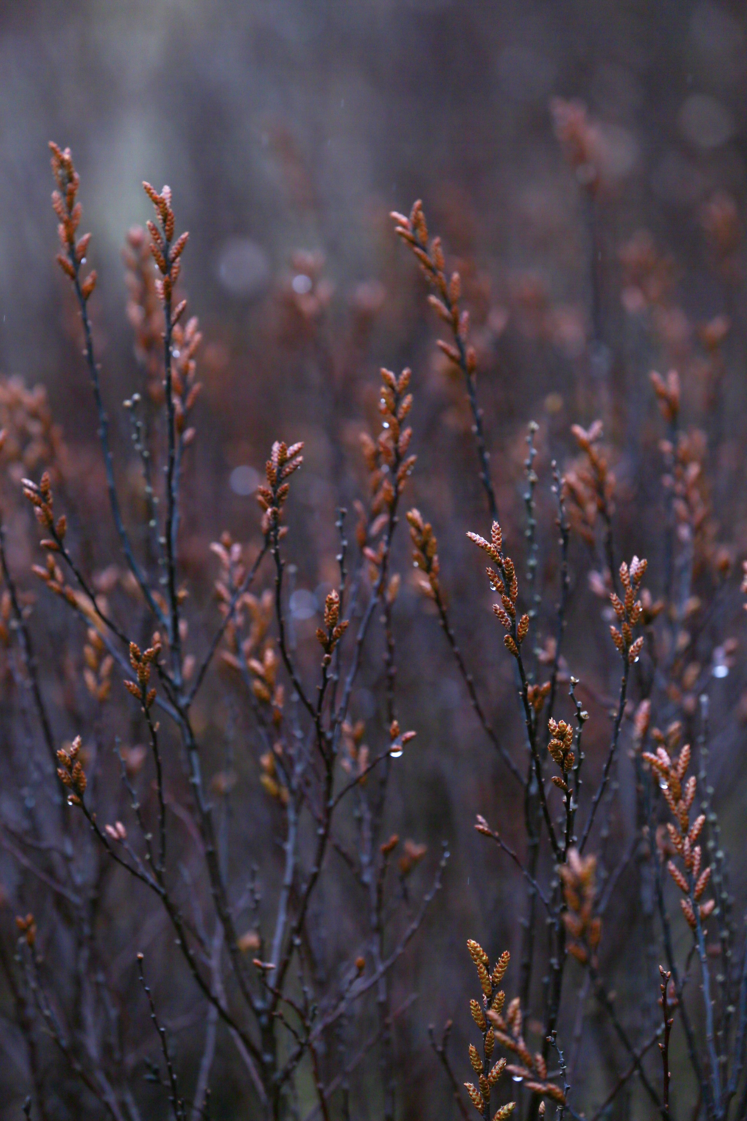 Interdependent