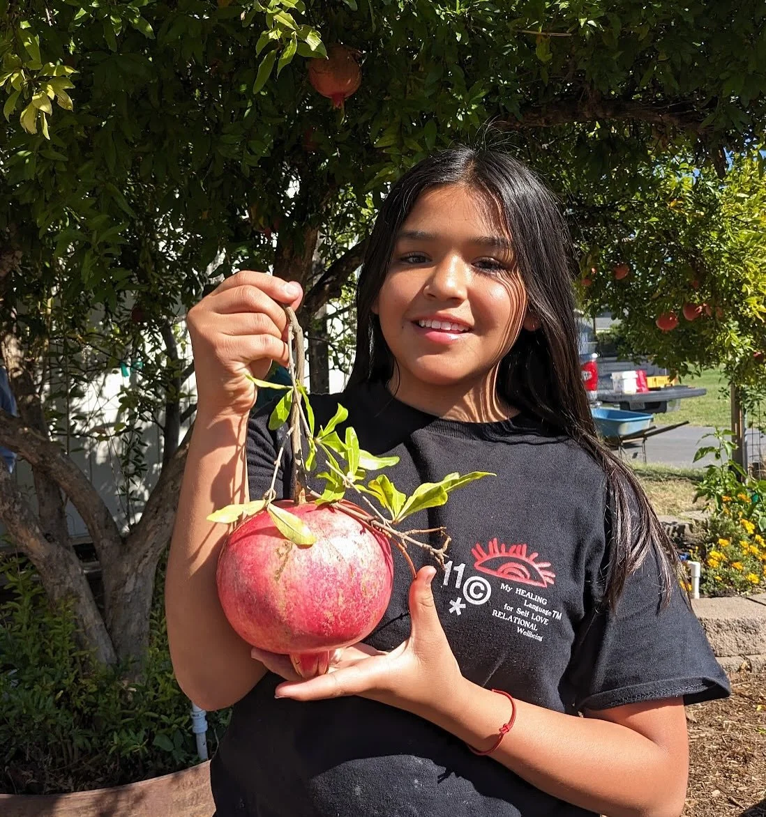 We held our annual 🌱🔴pomegranate🔴🌱harvest and tasting yesterday near the edible garden. Students had a chance to eat and learn more about the delicious fruit we grow right on campus. Thank you to our 6th graders for harvesting and our volunteers 