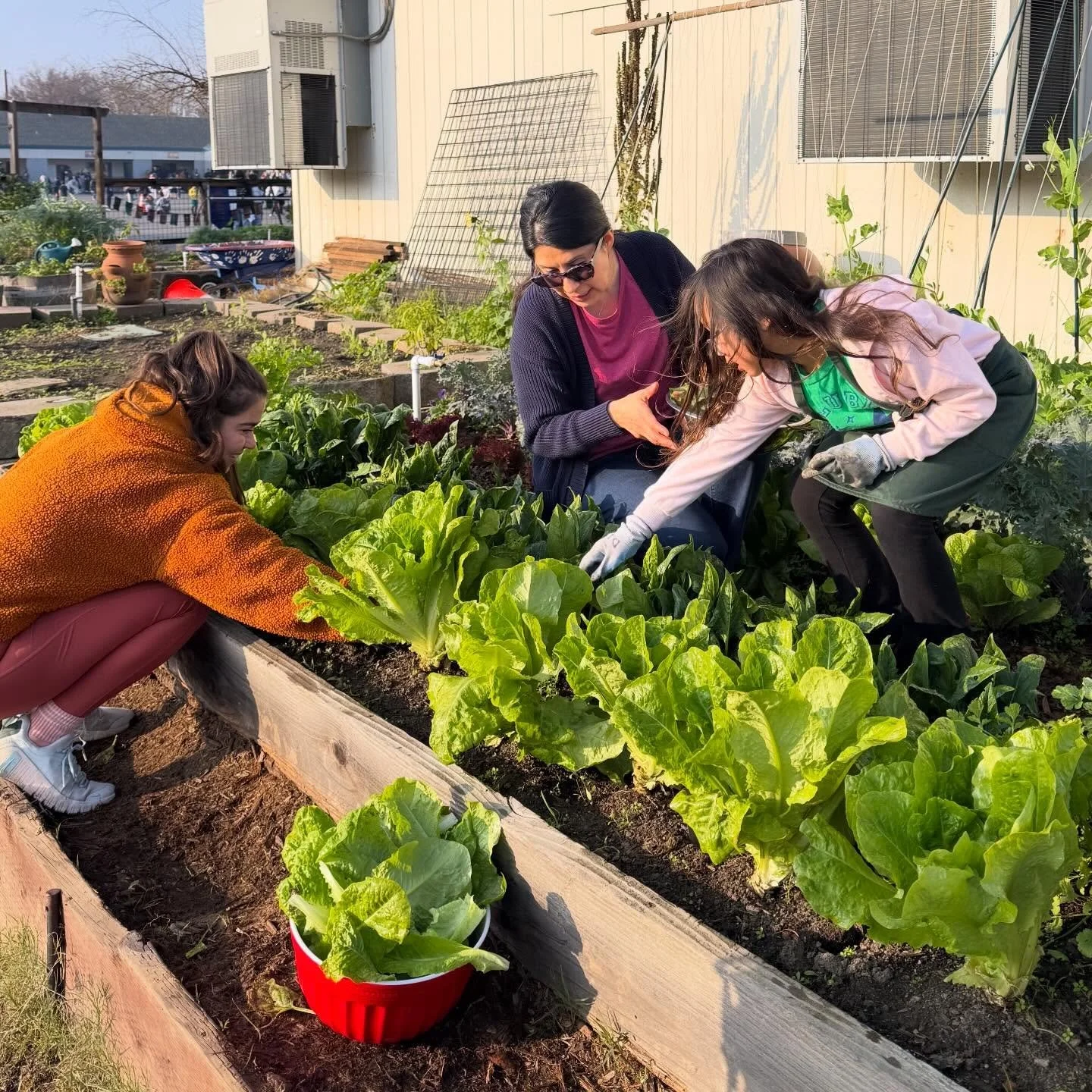 Our Garden Club is jumping right into the new year with some more fun ways to get involved 🌱🪏🫜

Join us tomorrow from 8am-11am for our monthly Saturday gardening. We&rsquo;ll have hot cocoa and treats. All ages welcome! ☕️👩🏽&zwj;🌾

We&rsquo;re 