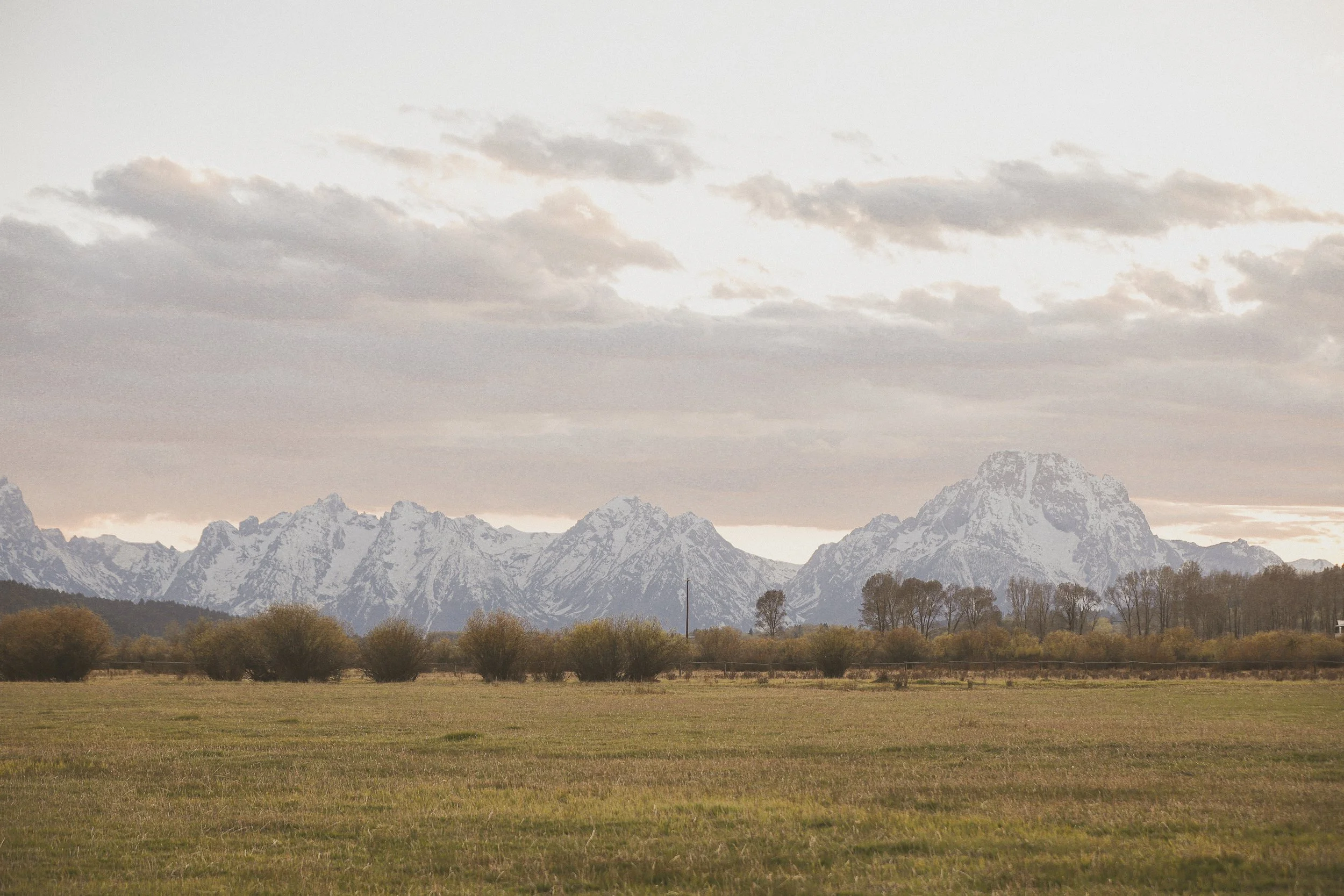SteinbrinkPhotography_DCR2026_.JPG
