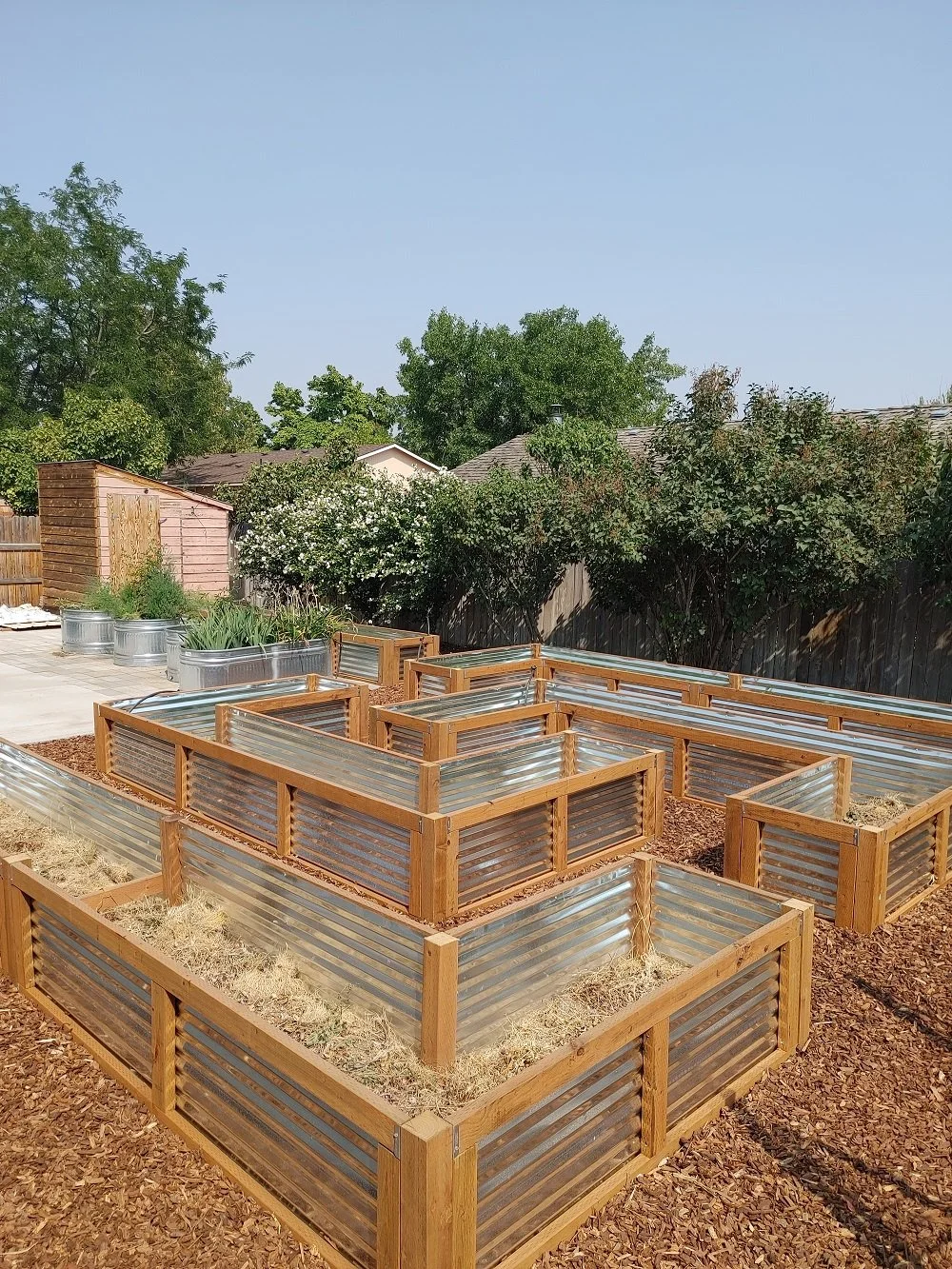 Xeriscape With Planter Boxes - After