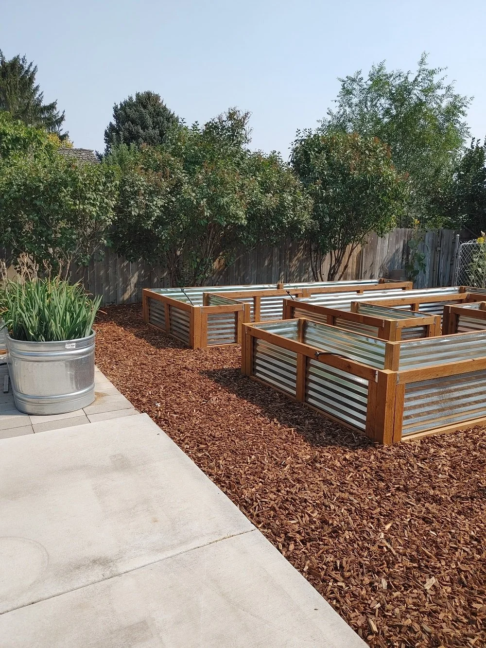 Xeriscape With Planter Boxes - After