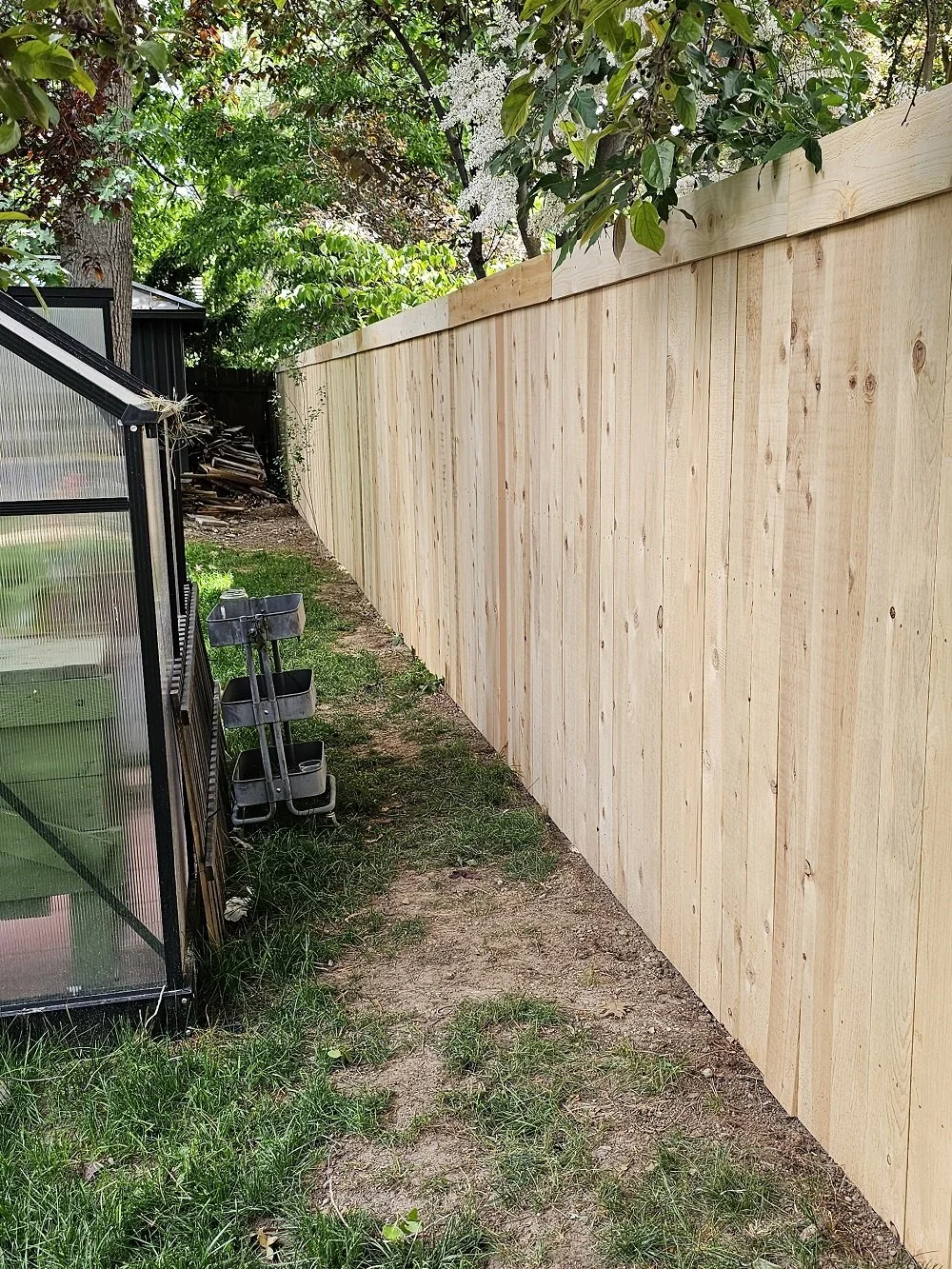 Cedar Fence