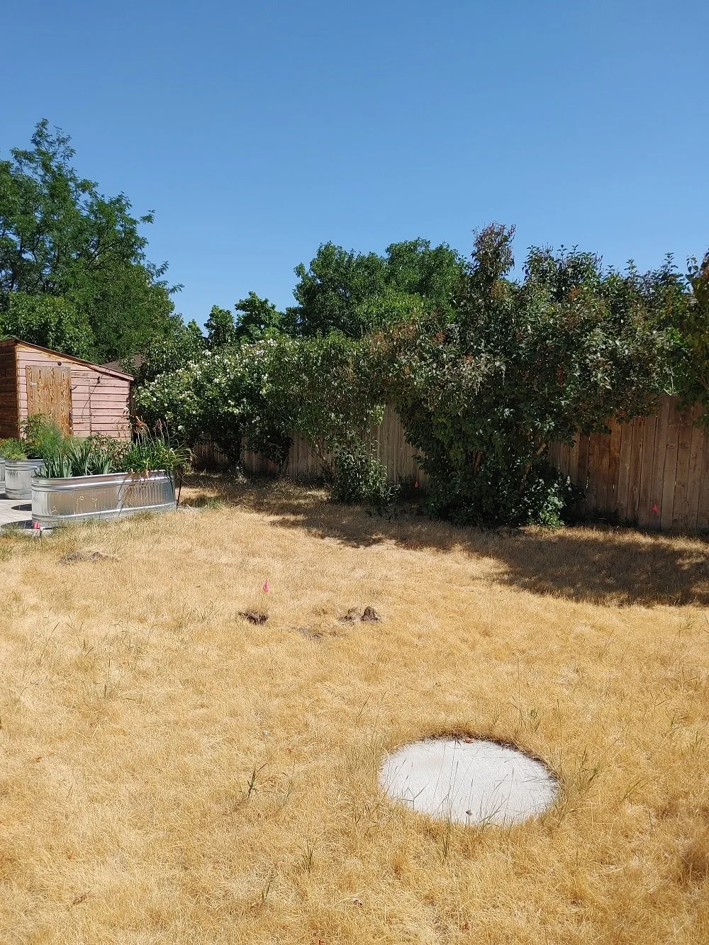 Xeriscape With Planter Boxes - Before