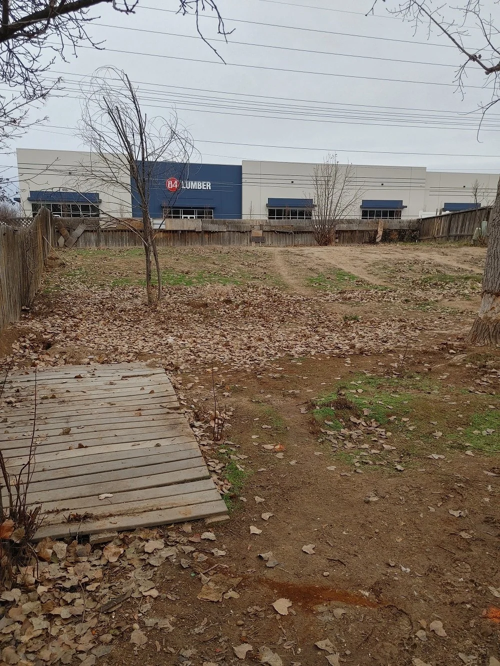 Backyard Landscape - Before