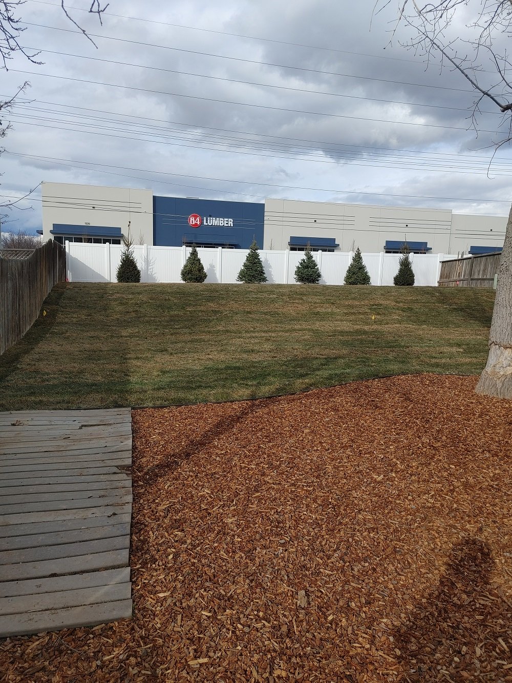 Backyard Landscape - After