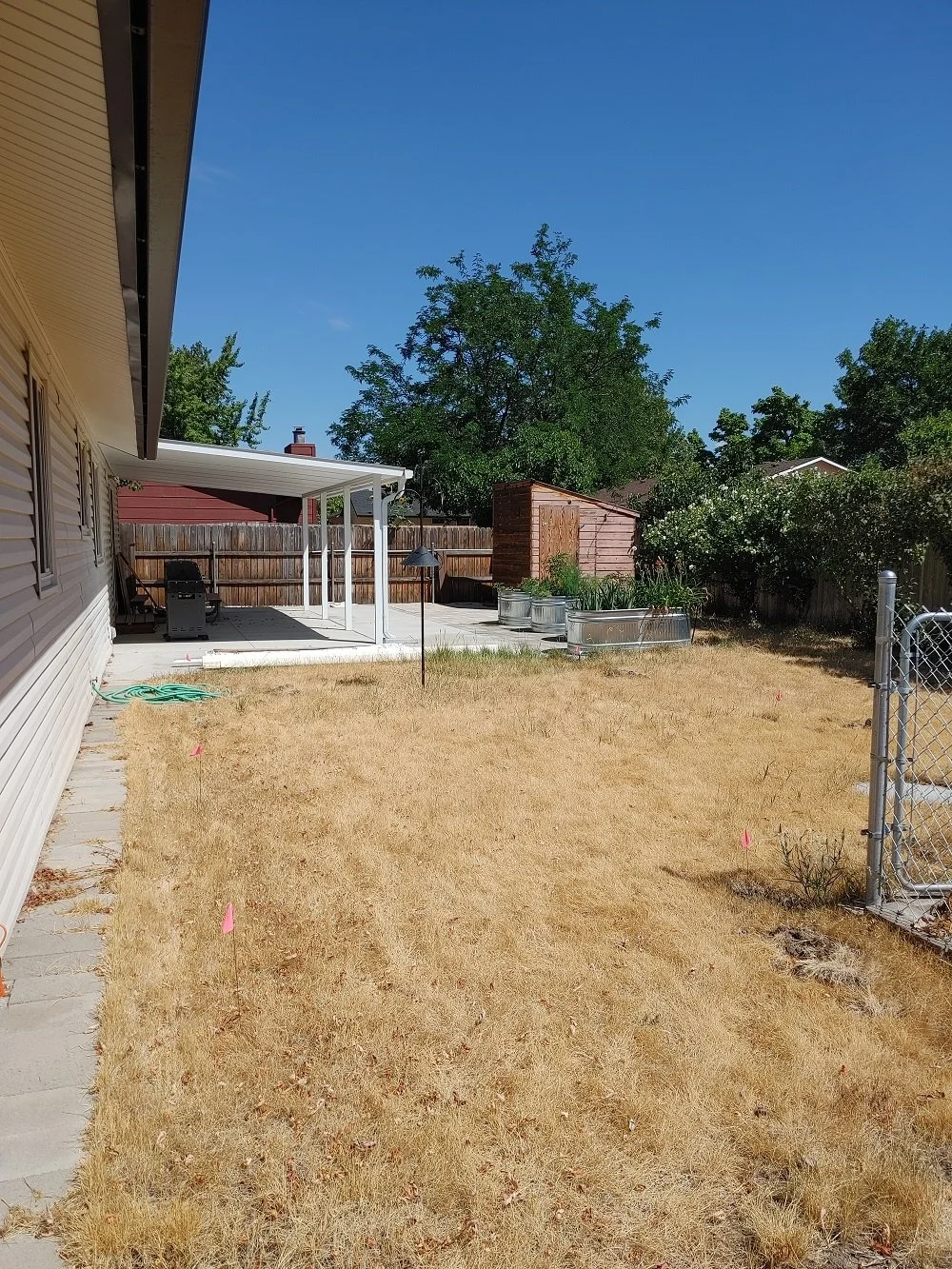 Xeriscape With Planter Boxes - Before