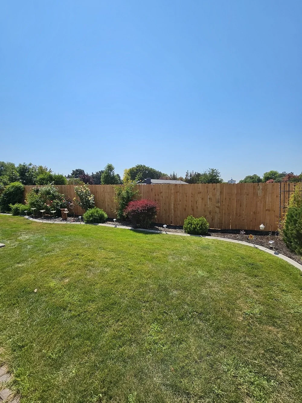 Cedar Fence - After