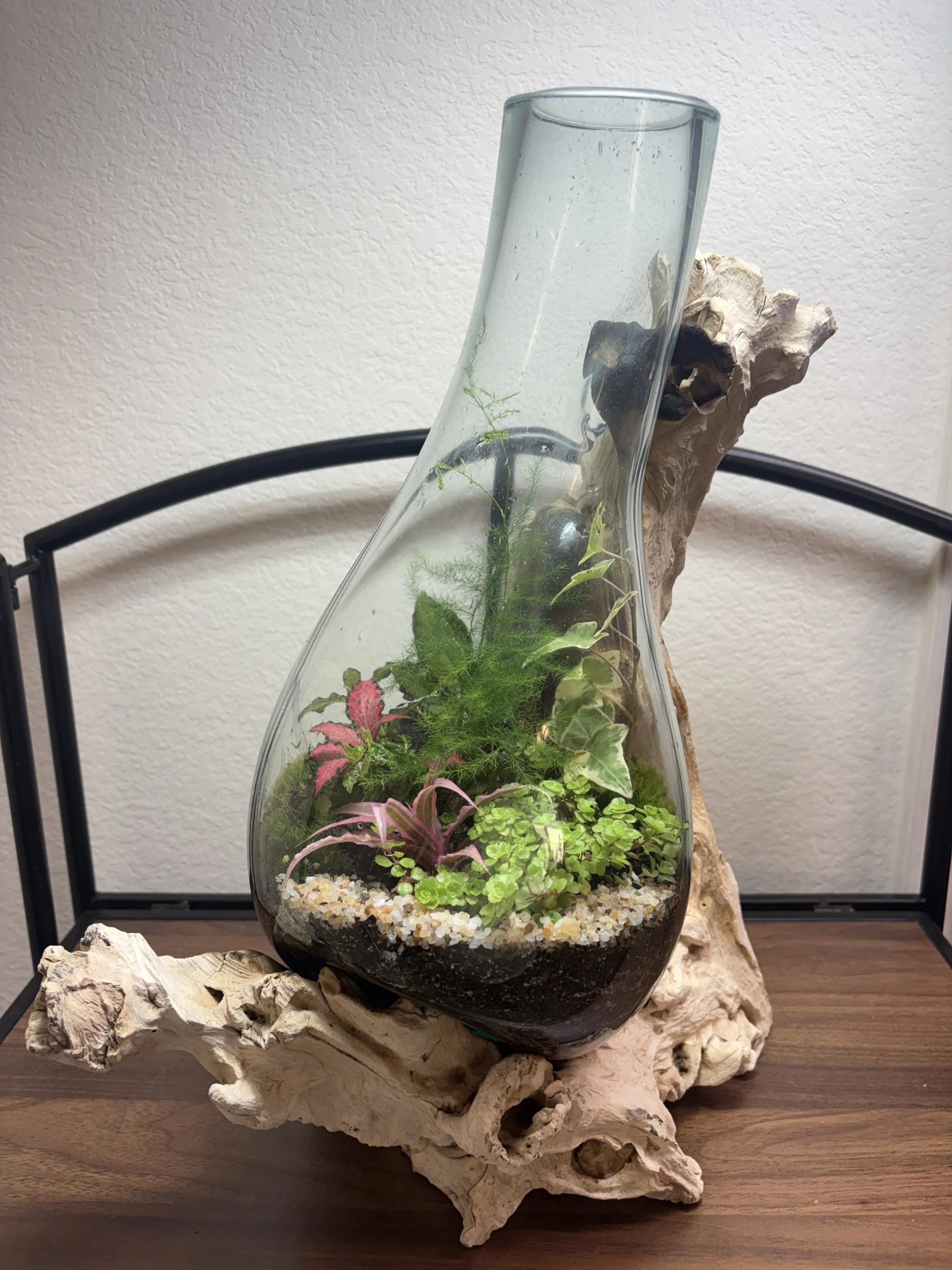 June 26th Terrarium Workshop