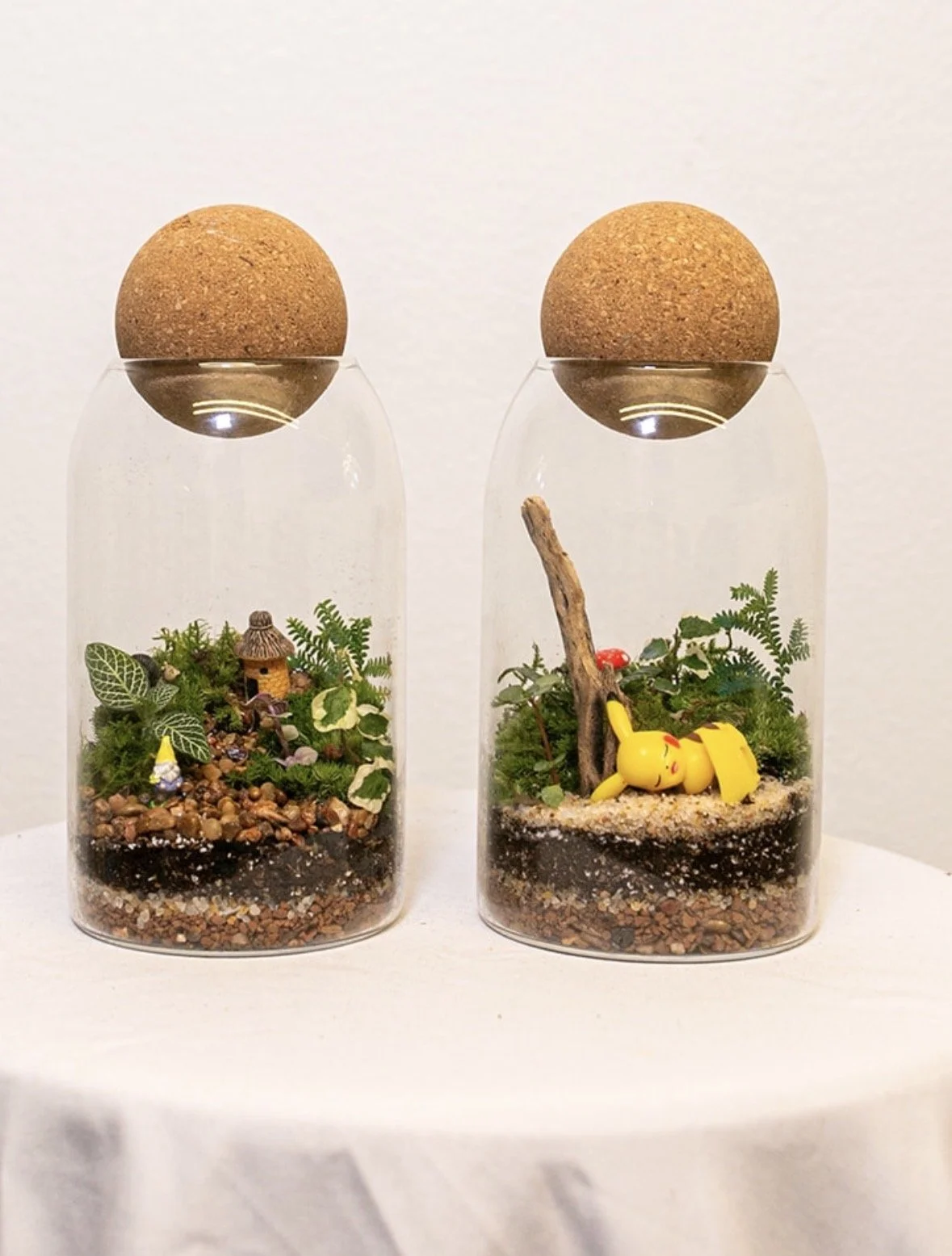 Aug 29th Terrarium Class