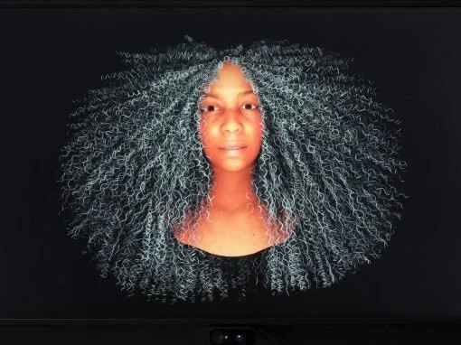 Stephanie Dinkins Art Installations