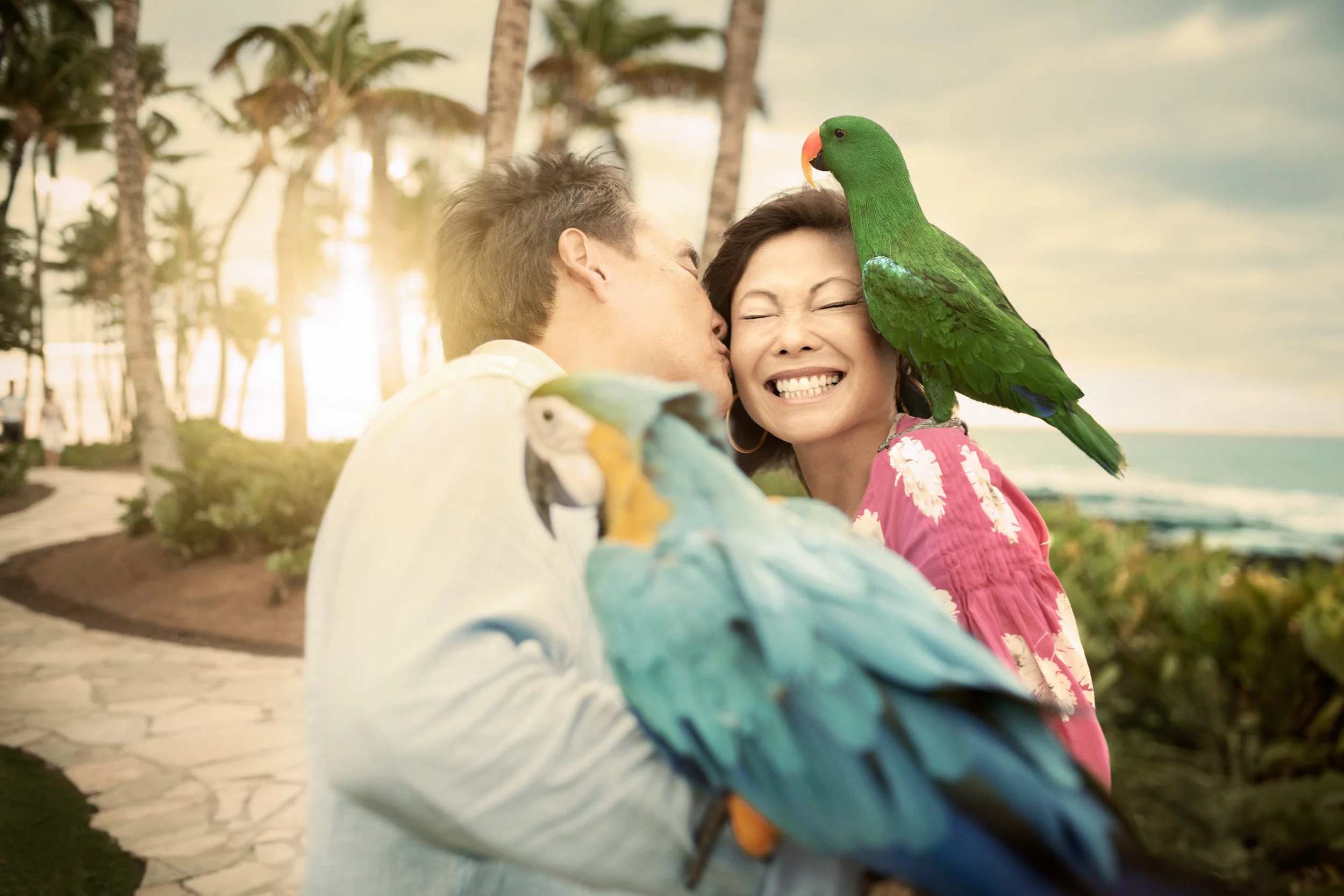 HHonors_6113_Parrot_02g_R3_RGB-2-1358.jpg