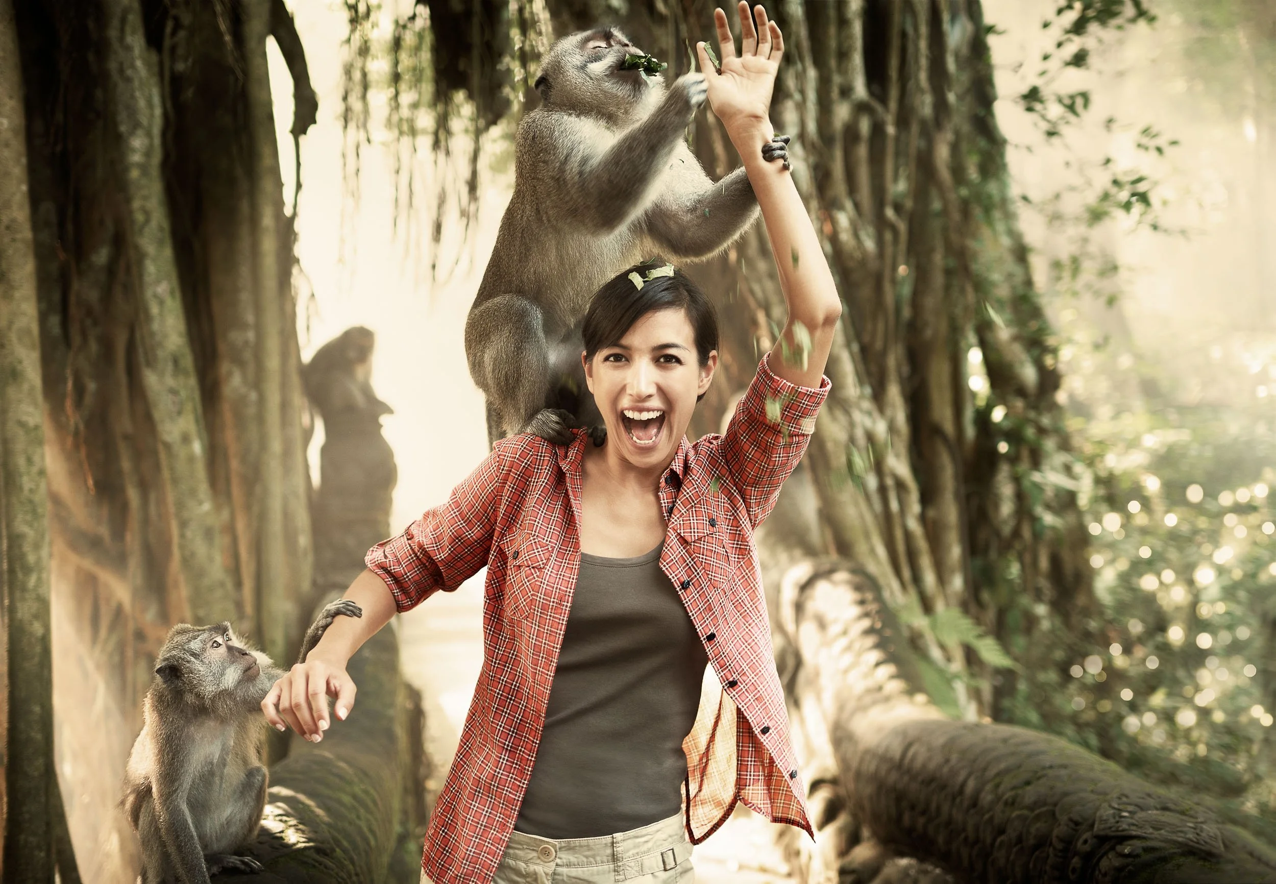 HHonors_6019_Bali_Monkey_02b_R1_RGB-1303.jpg