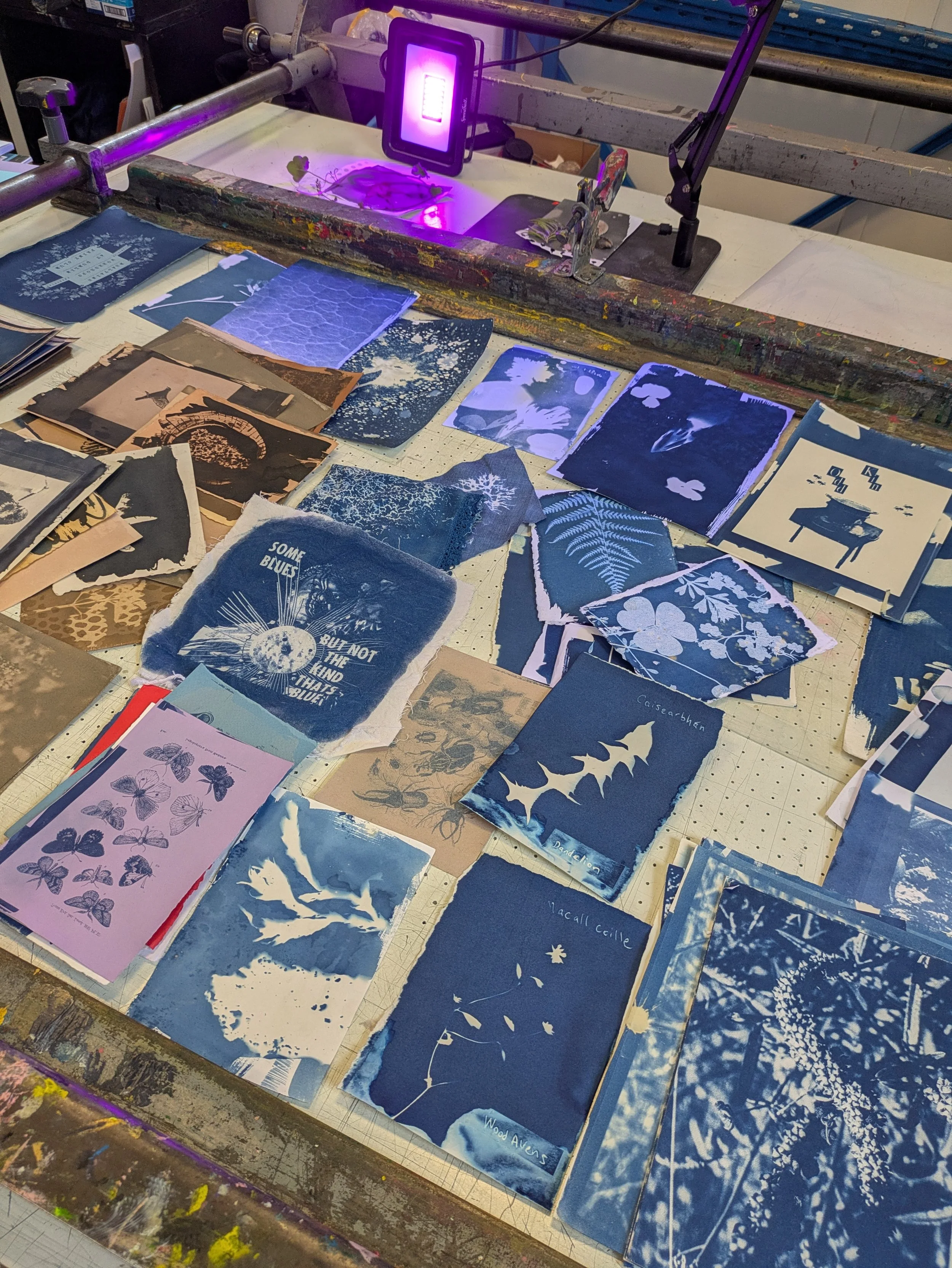 DPC_Cyanotype.jpg