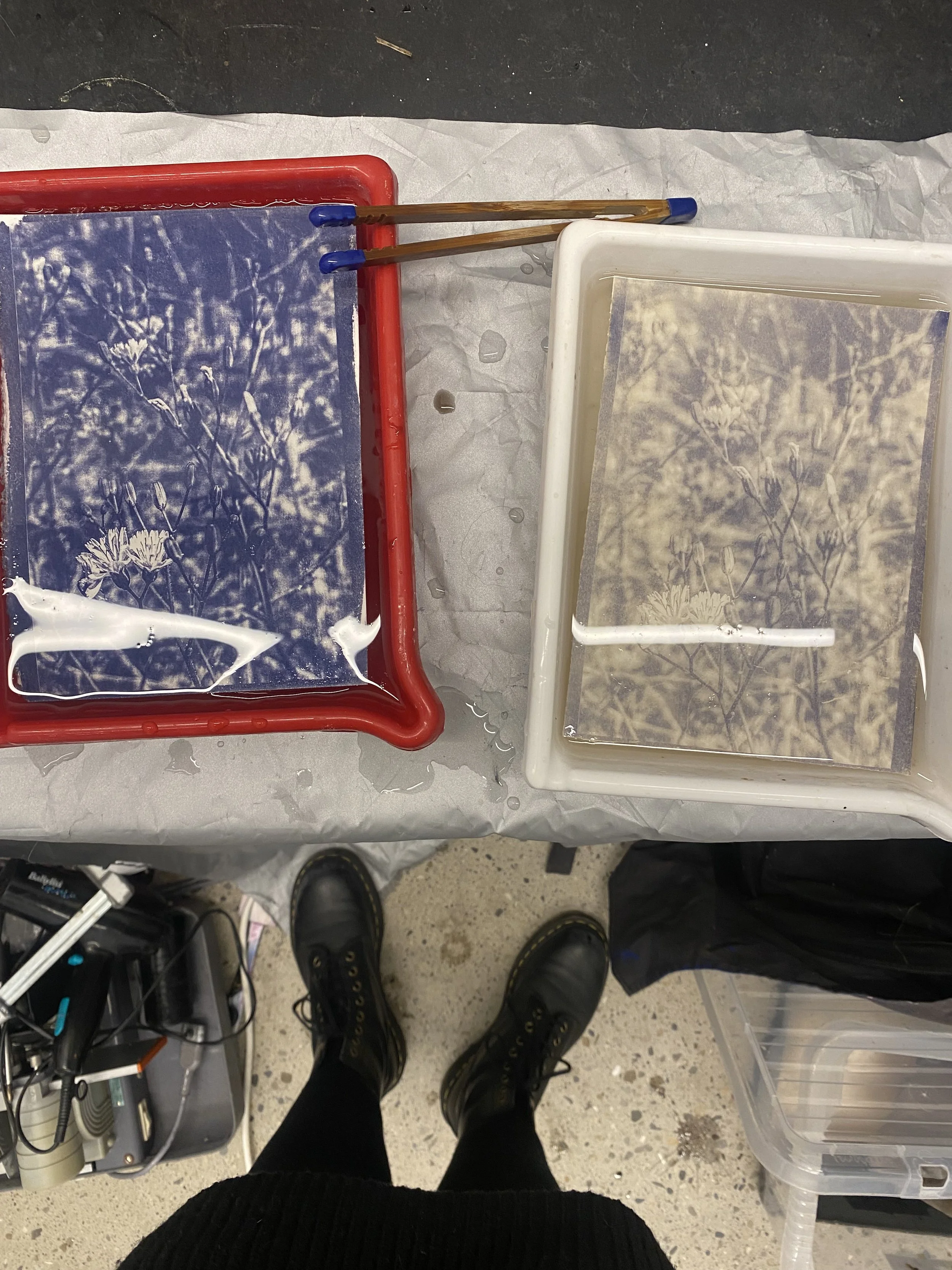 cyanotype toning.jpeg