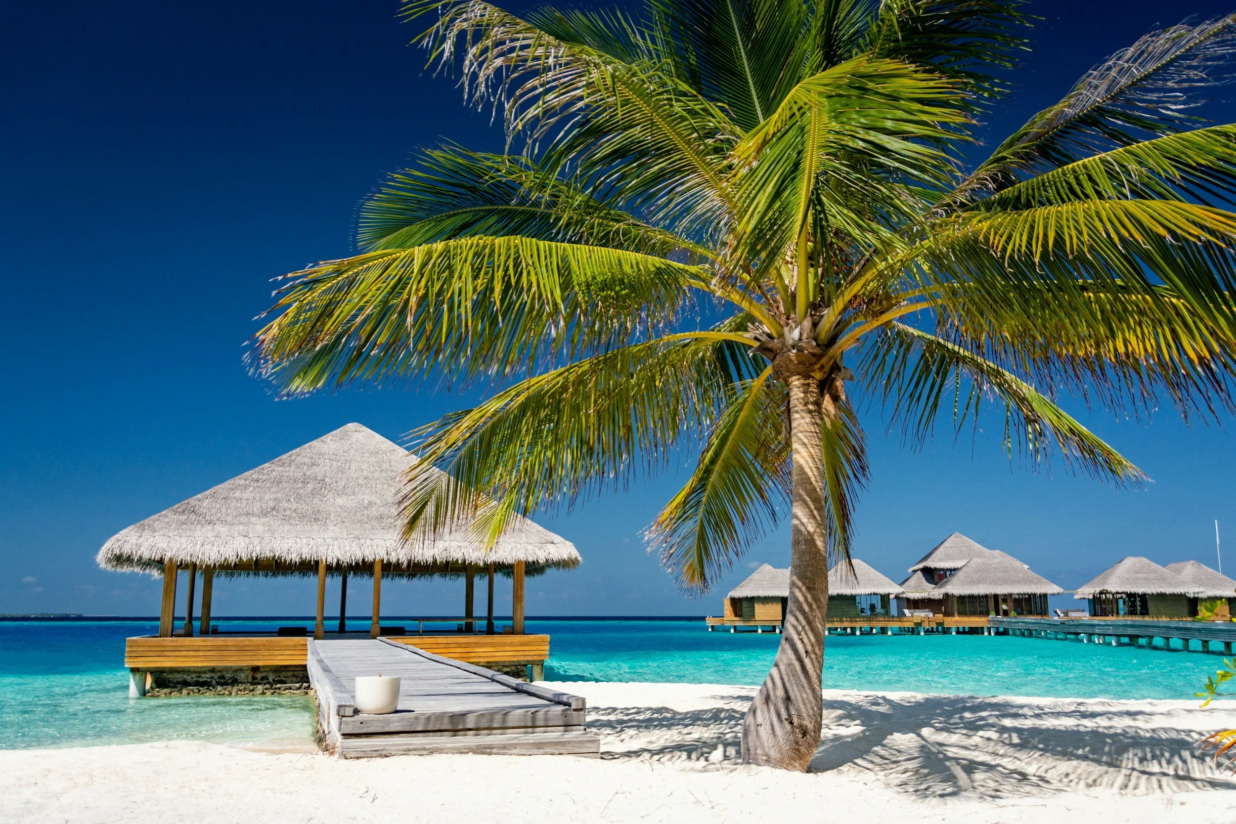 Overwater bungalows in the Maldives set above a turquoise lagoon with white sand beach and palm tree in the foreground